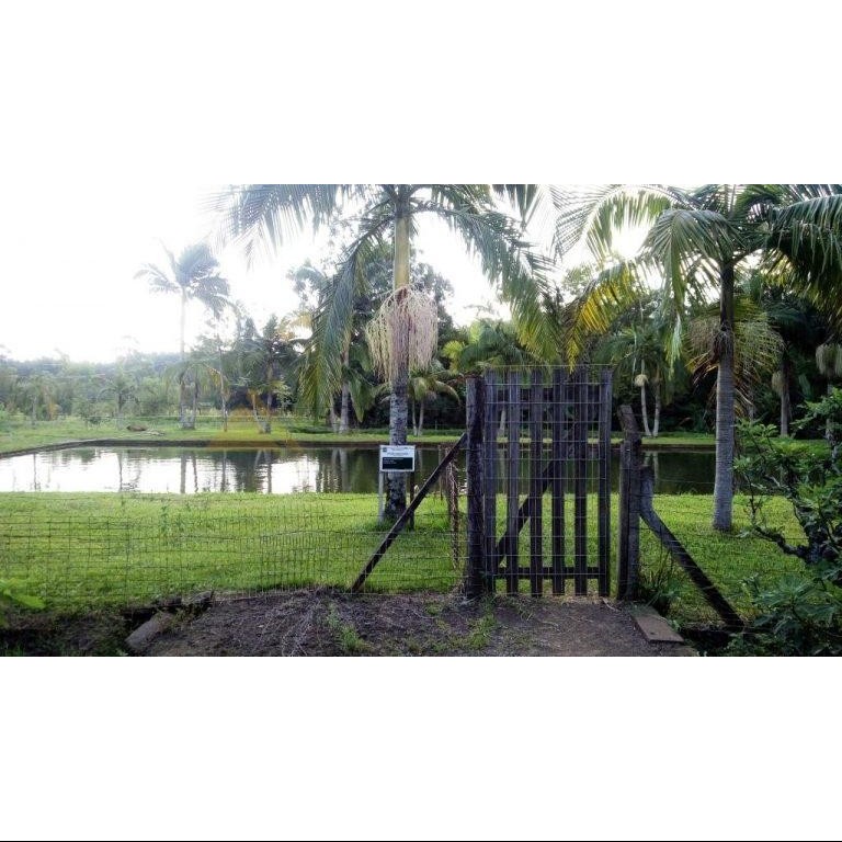 Sítio / Chácara 8 quartos para Venda no bairro Centro em Presidente Lucena