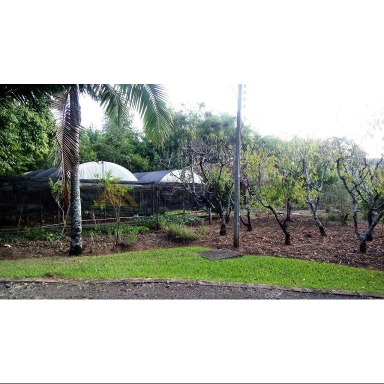 Sítio / Chácara 8 quartos para Venda no bairro Centro em Presidente Lucena