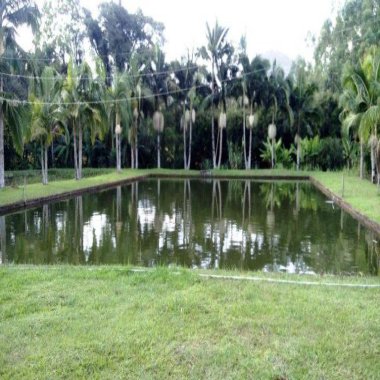 Sítio / Chácara 8 quartos para Venda no bairro Centro em Presidente Lucena