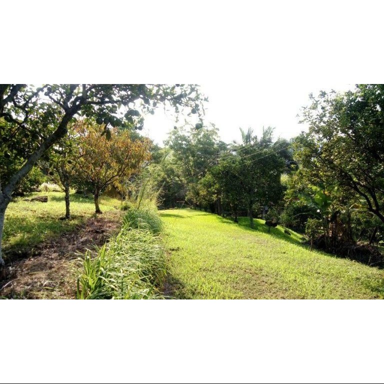 Sítio / Chácara 8 quartos para Venda no bairro Centro em Presidente Lucena