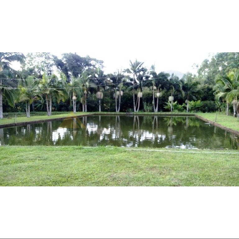 Sítio / Chácara 8 quartos para Venda no bairro Centro em Presidente Lucena