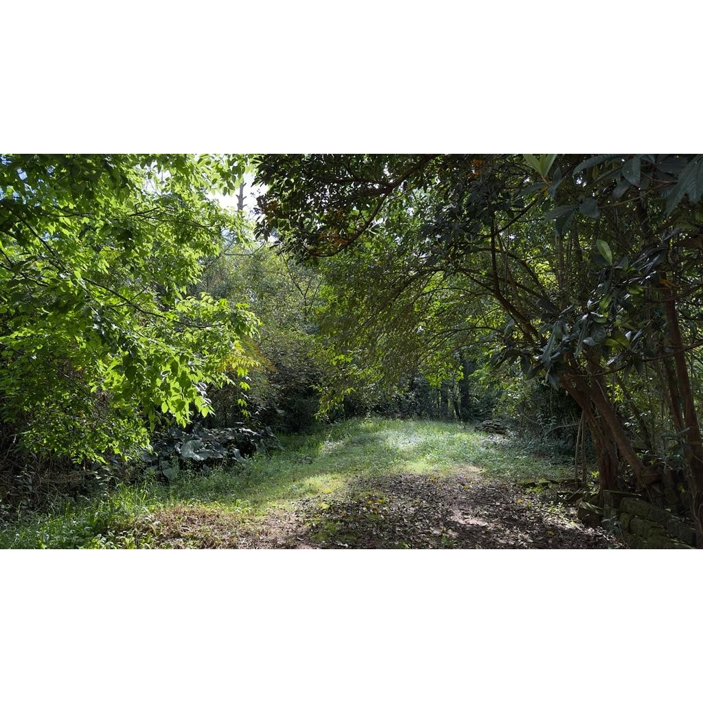Terreno para Venda no bairro Amaral Ribeiro em Sapiranga