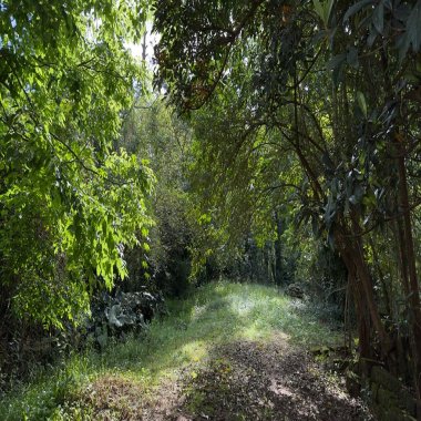 Terreno para Venda no bairro Amaral Ribeiro em Sapiranga