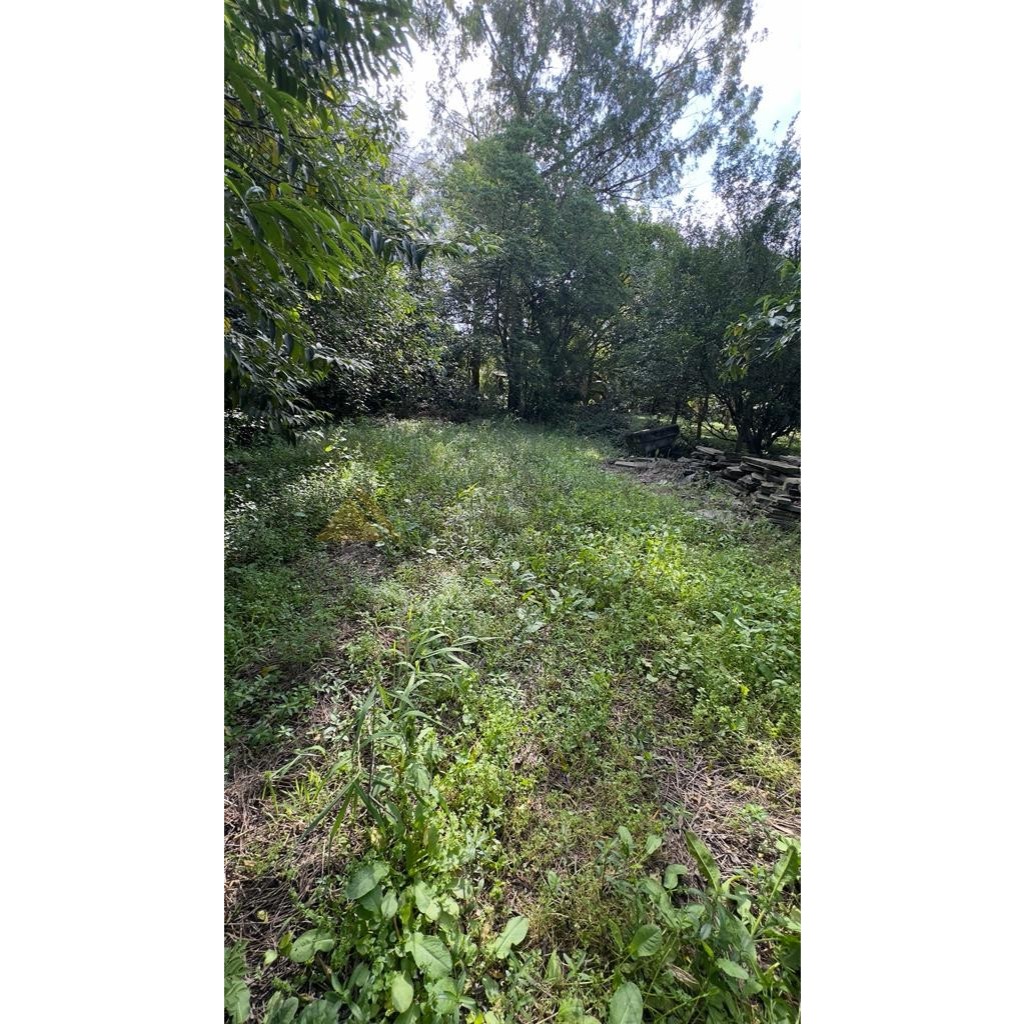 Terreno para Venda no bairro Amaral Ribeiro em Sapiranga