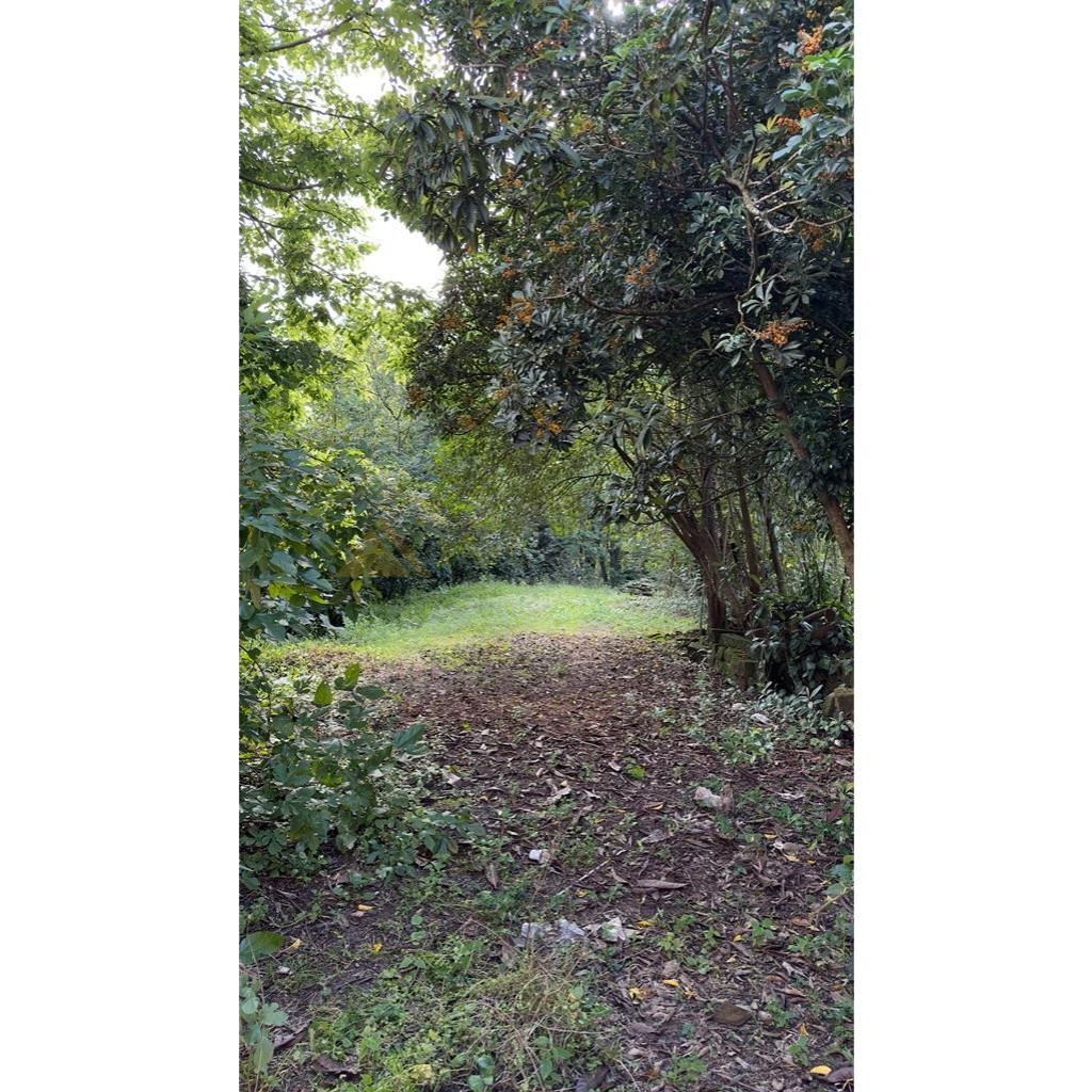 Terreno para Venda no bairro Amaral Ribeiro em Sapiranga