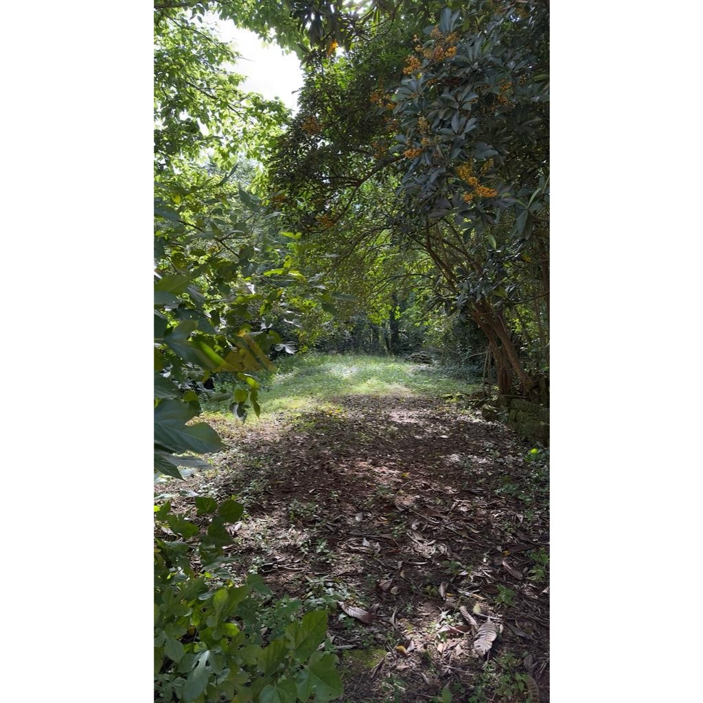 Terreno para Venda no bairro Amaral Ribeiro em Sapiranga