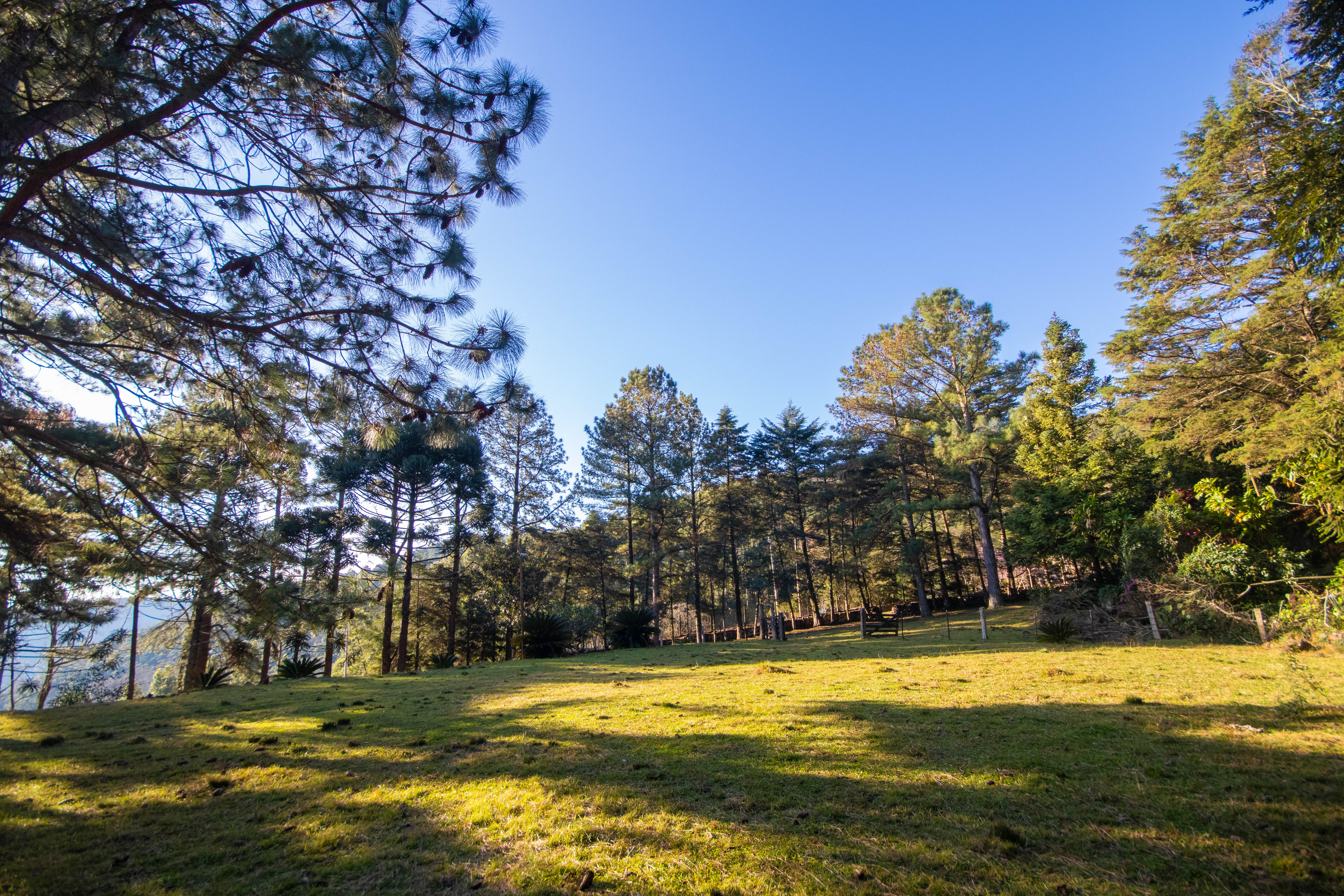 Sítio / Chácara 3 quartos para Venda no bairro Centro em Morro Reuter