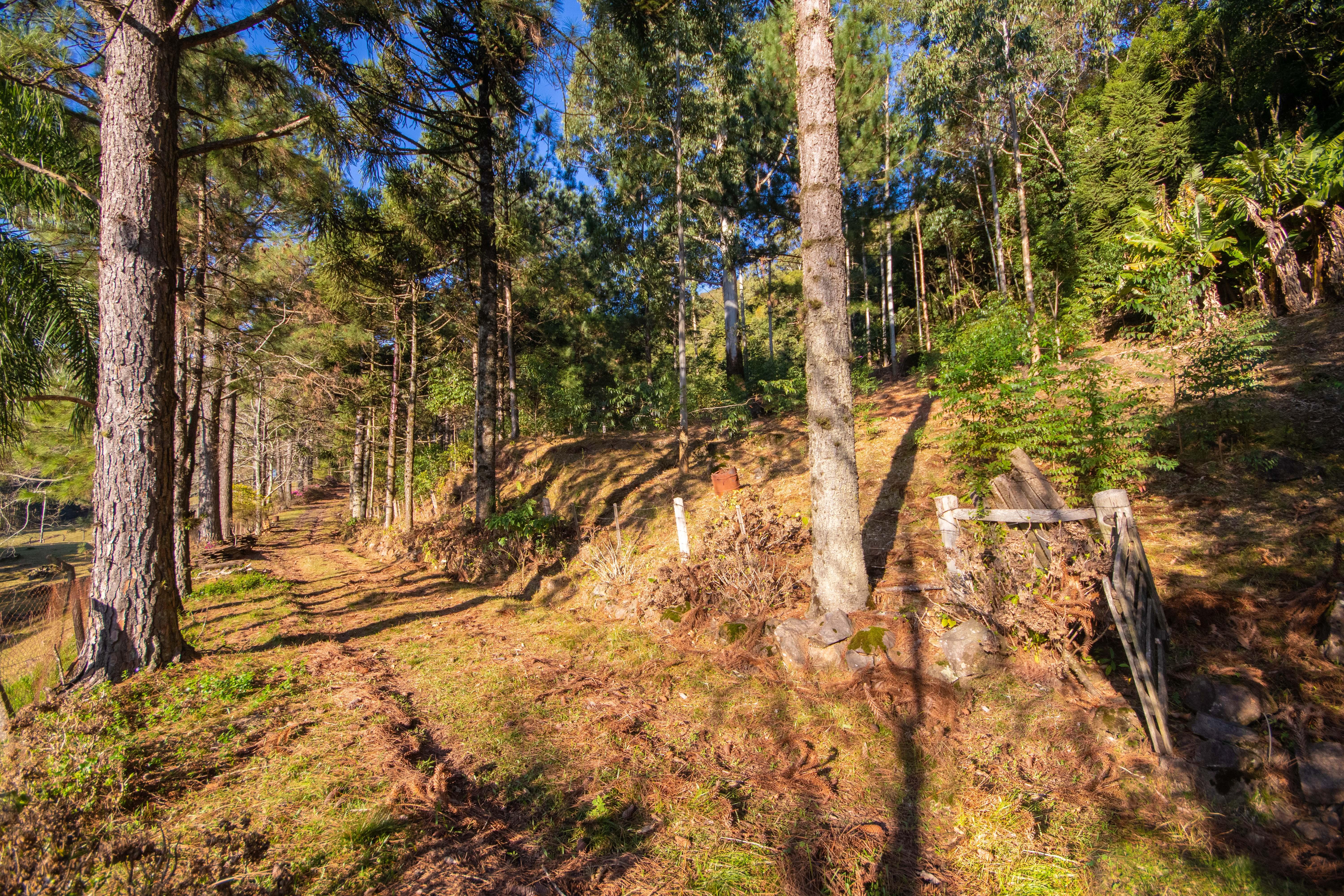 Sítio / Chácara 3 quartos para Venda no bairro Centro em Morro Reuter