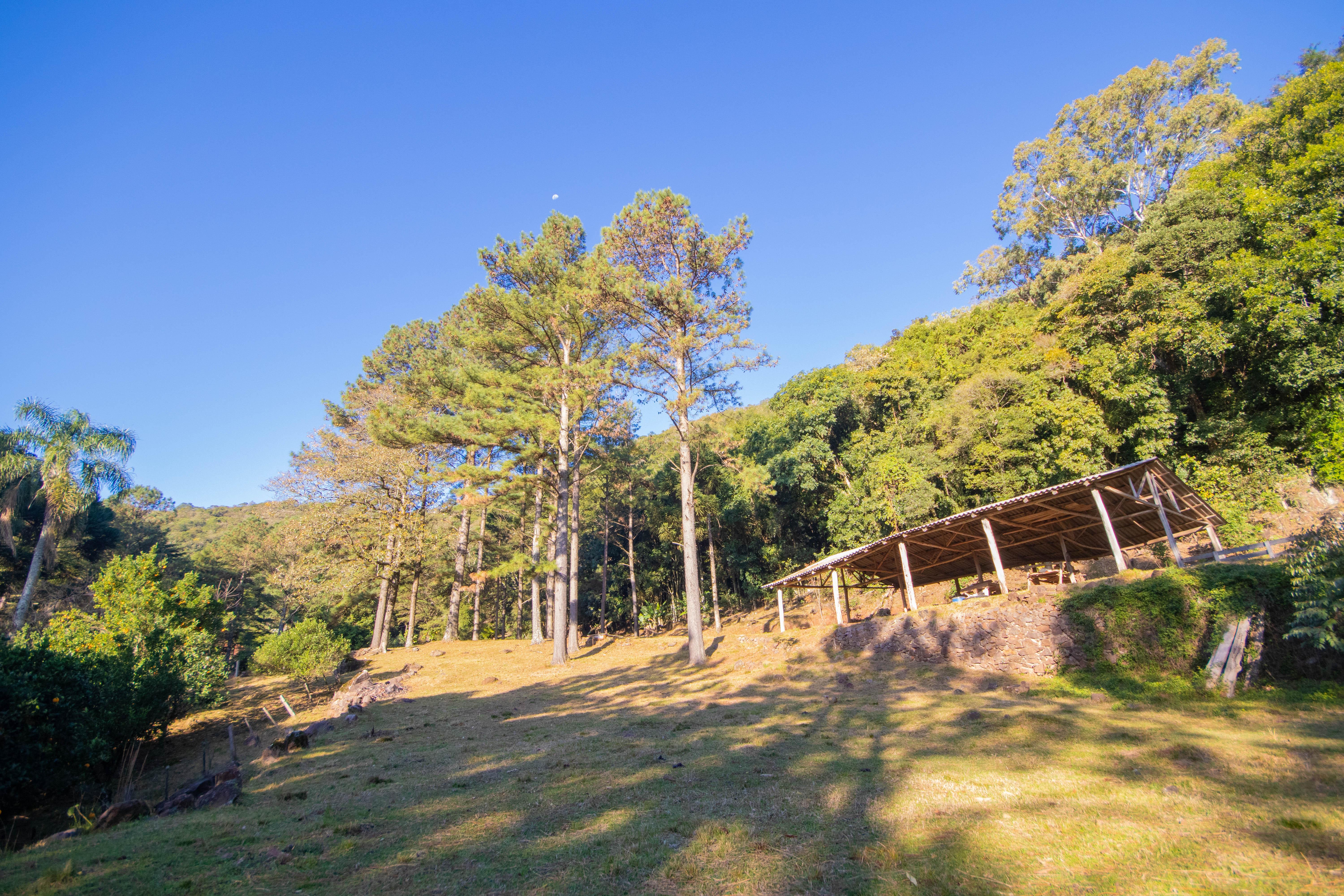 Sítio / Chácara 3 quartos para Venda no bairro Centro em Morro Reuter