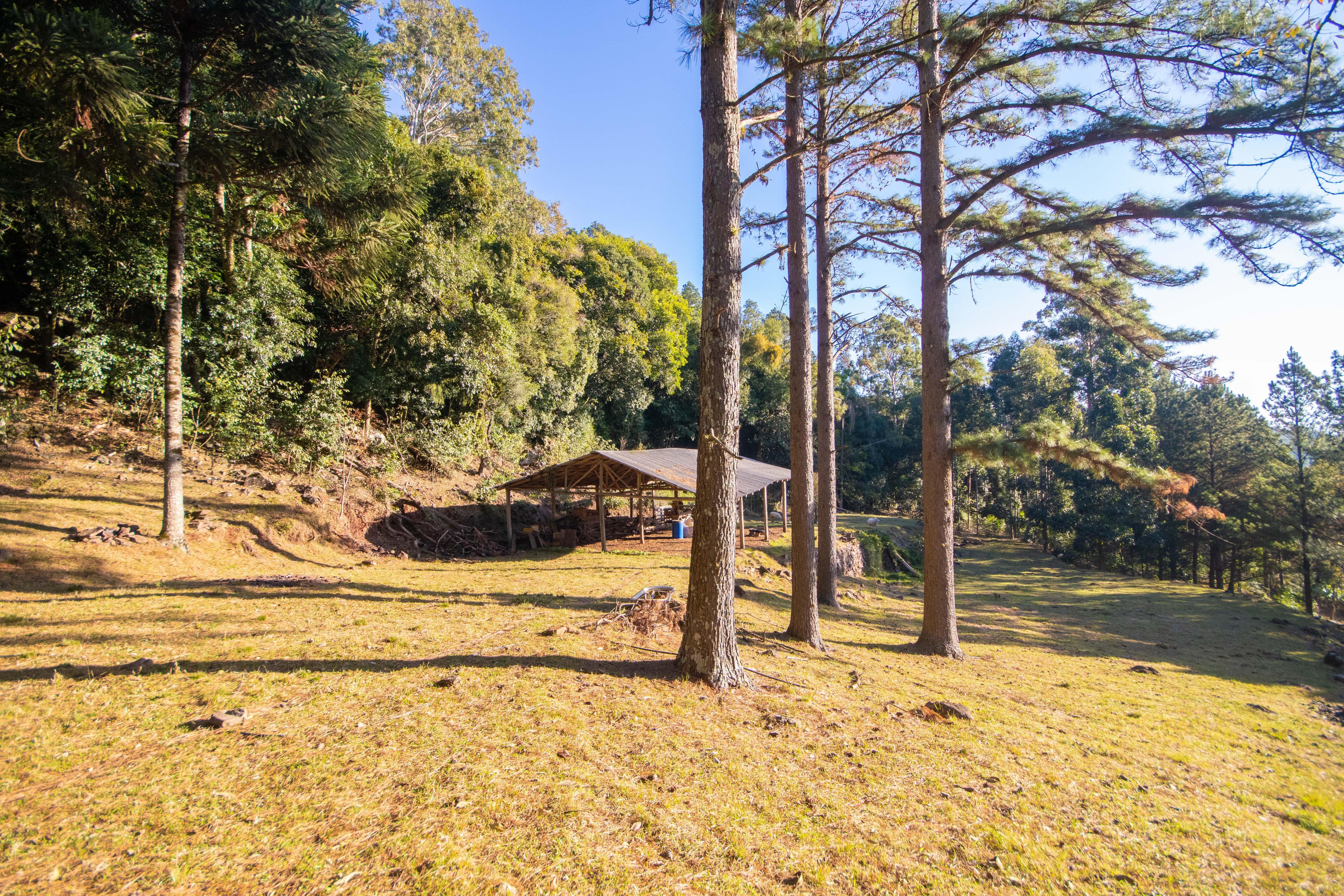 Sítio / Chácara 3 quartos para Venda no bairro Centro em Morro Reuter