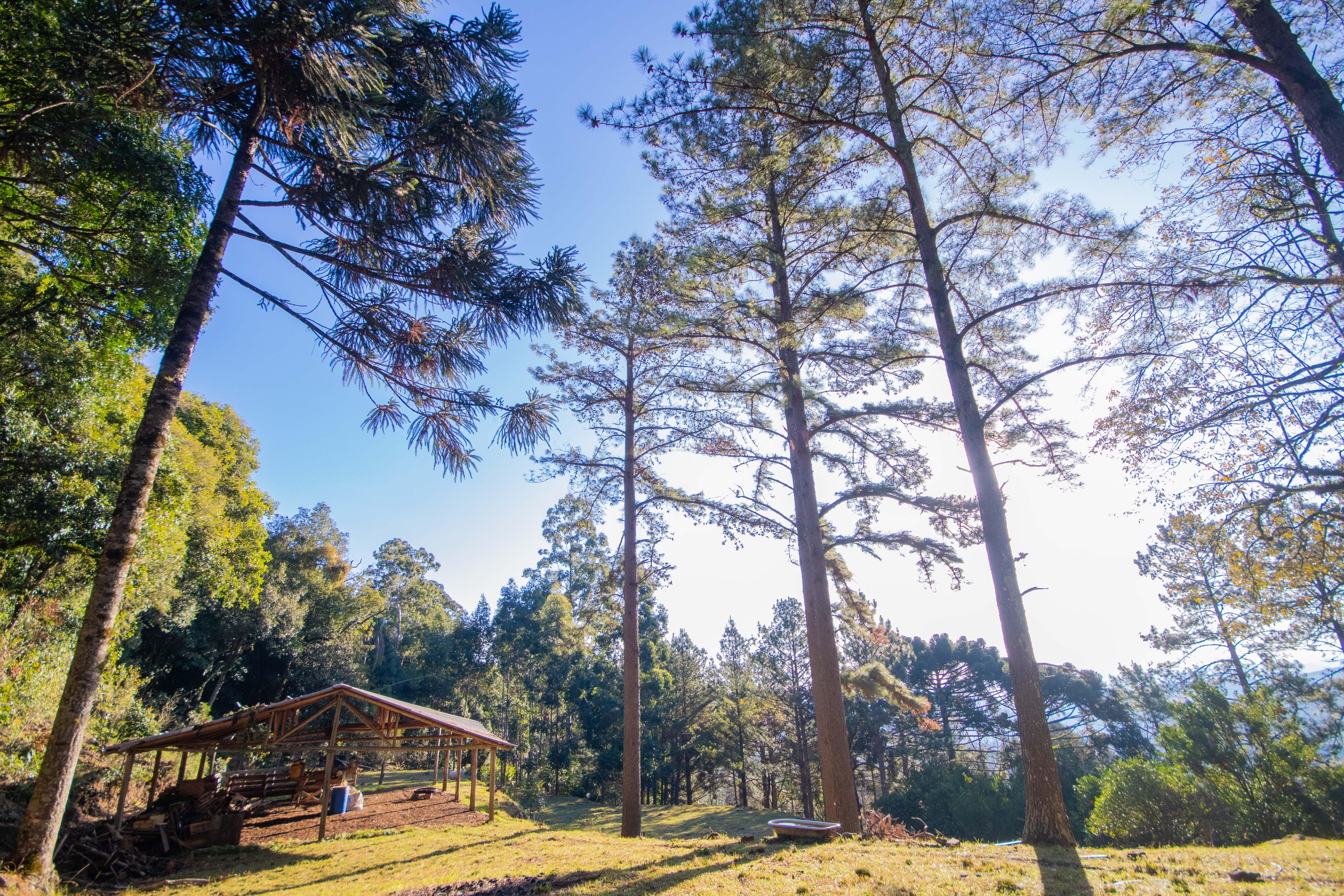 Sítio / Chácara 3 quartos para Venda no bairro Centro em Morro Reuter