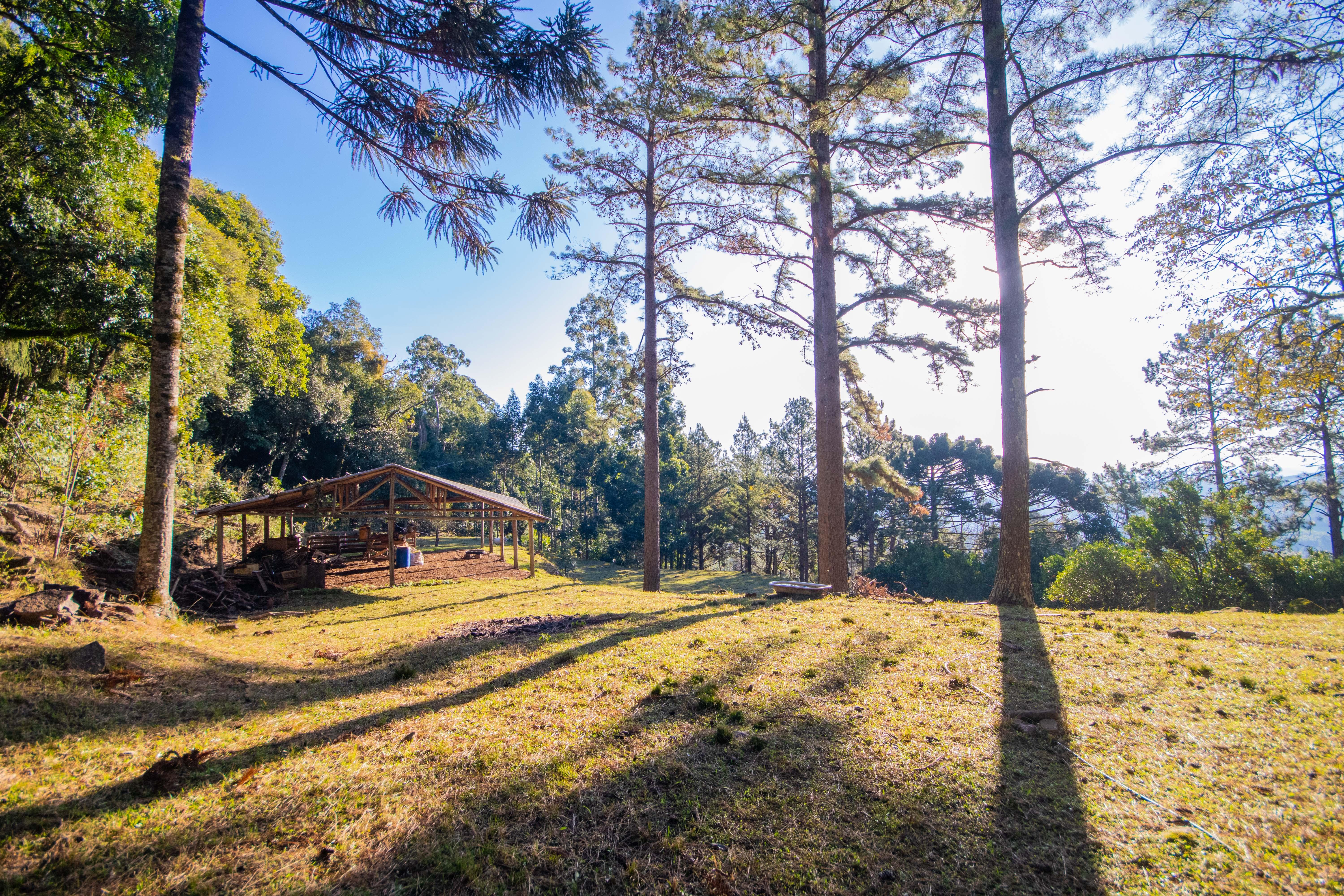 Sítio / Chácara 3 quartos para Venda no bairro Centro em Morro Reuter
