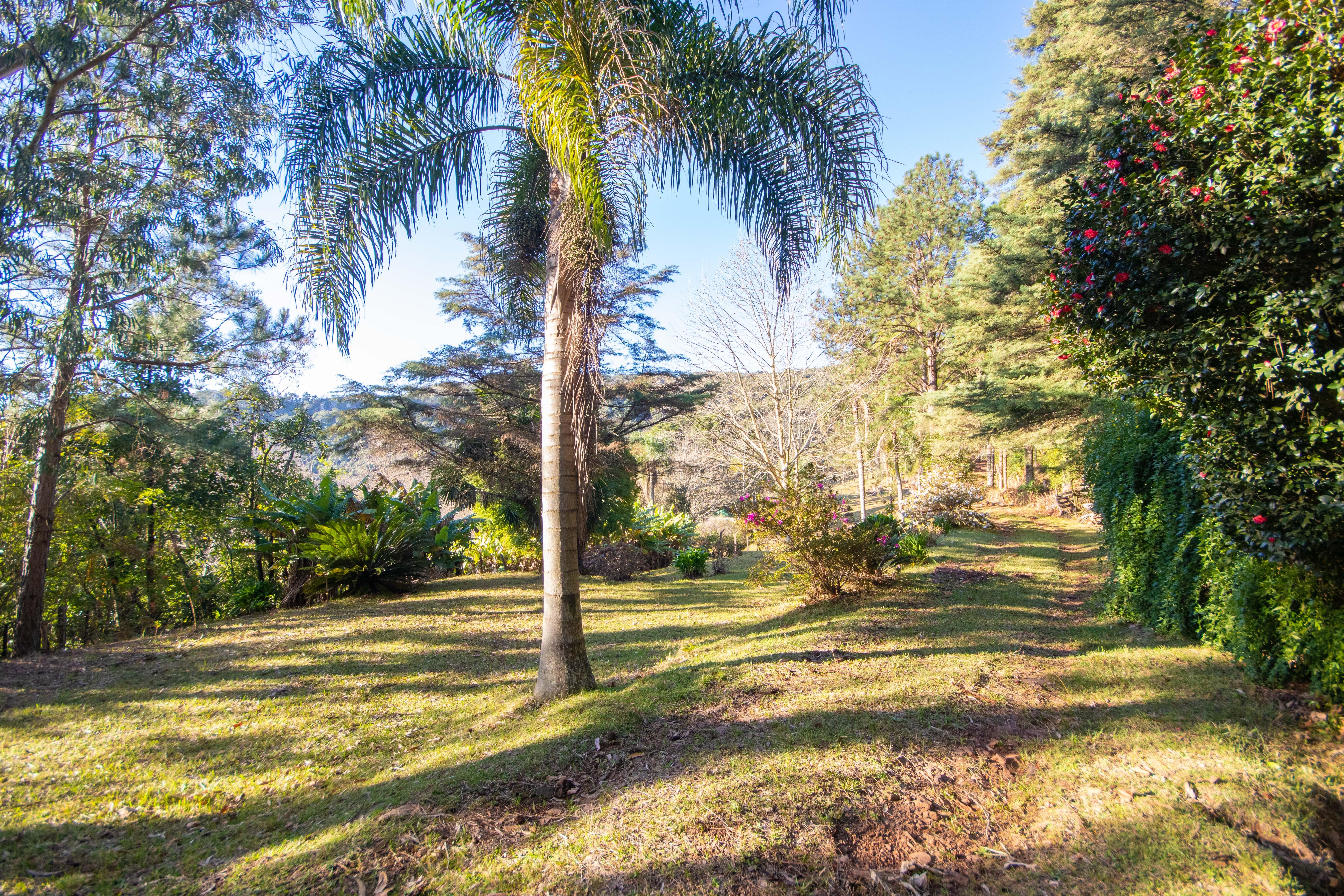 Sítio / Chácara 3 quartos para Venda no bairro Centro em Morro Reuter