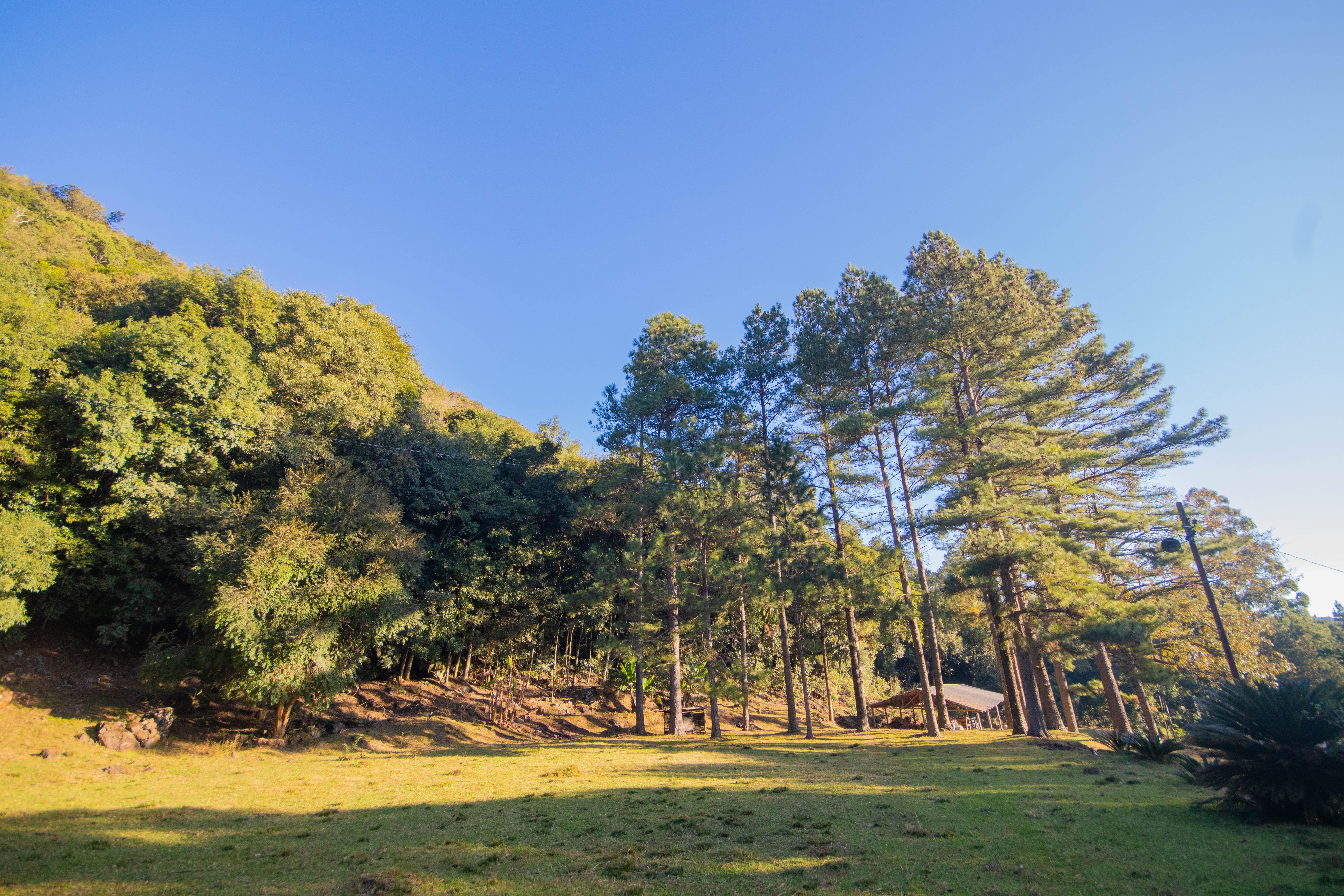 Sítio / Chácara 3 quartos para Venda no bairro Centro em Morro Reuter