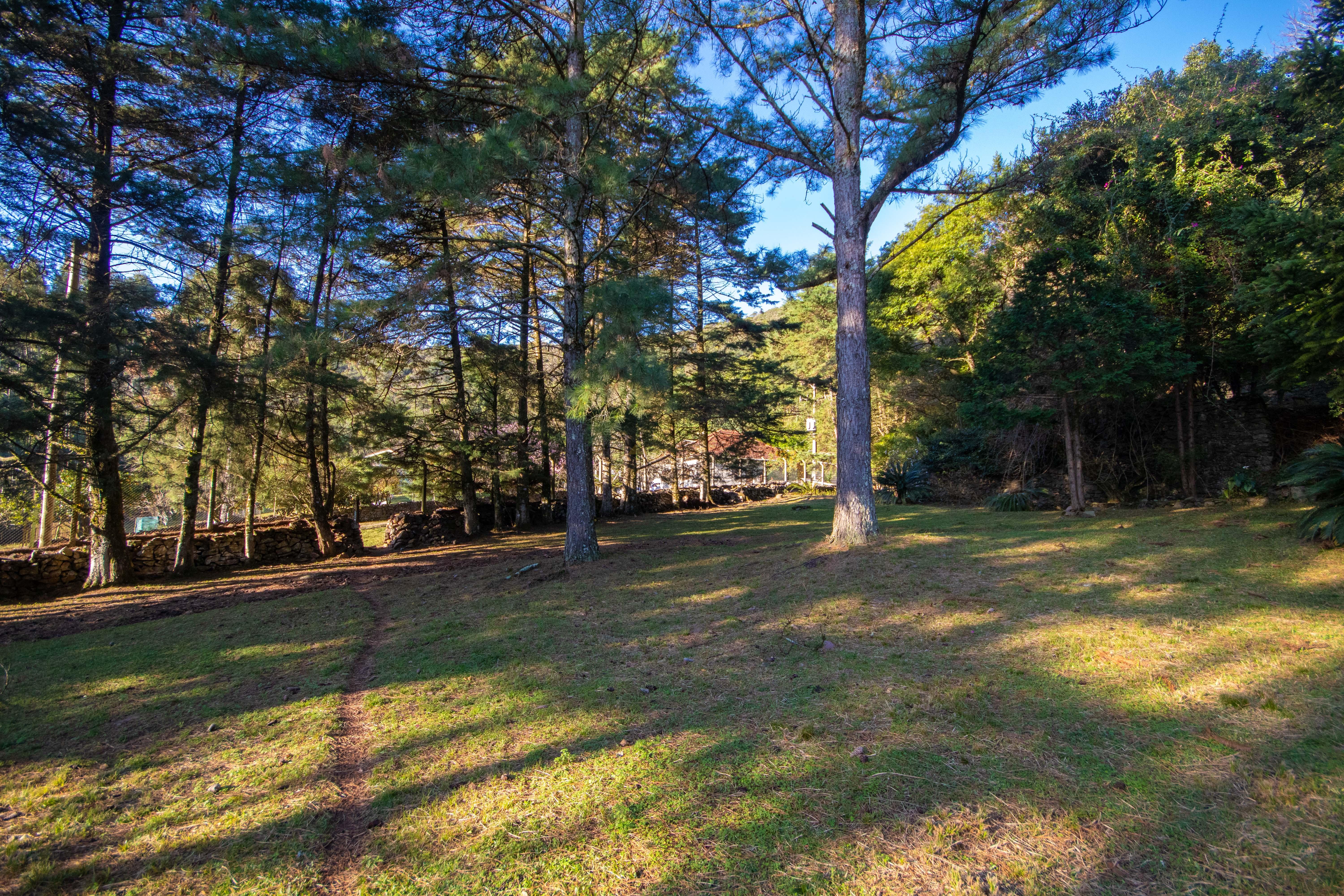 Sítio / Chácara 3 quartos para Venda no bairro Centro em Morro Reuter