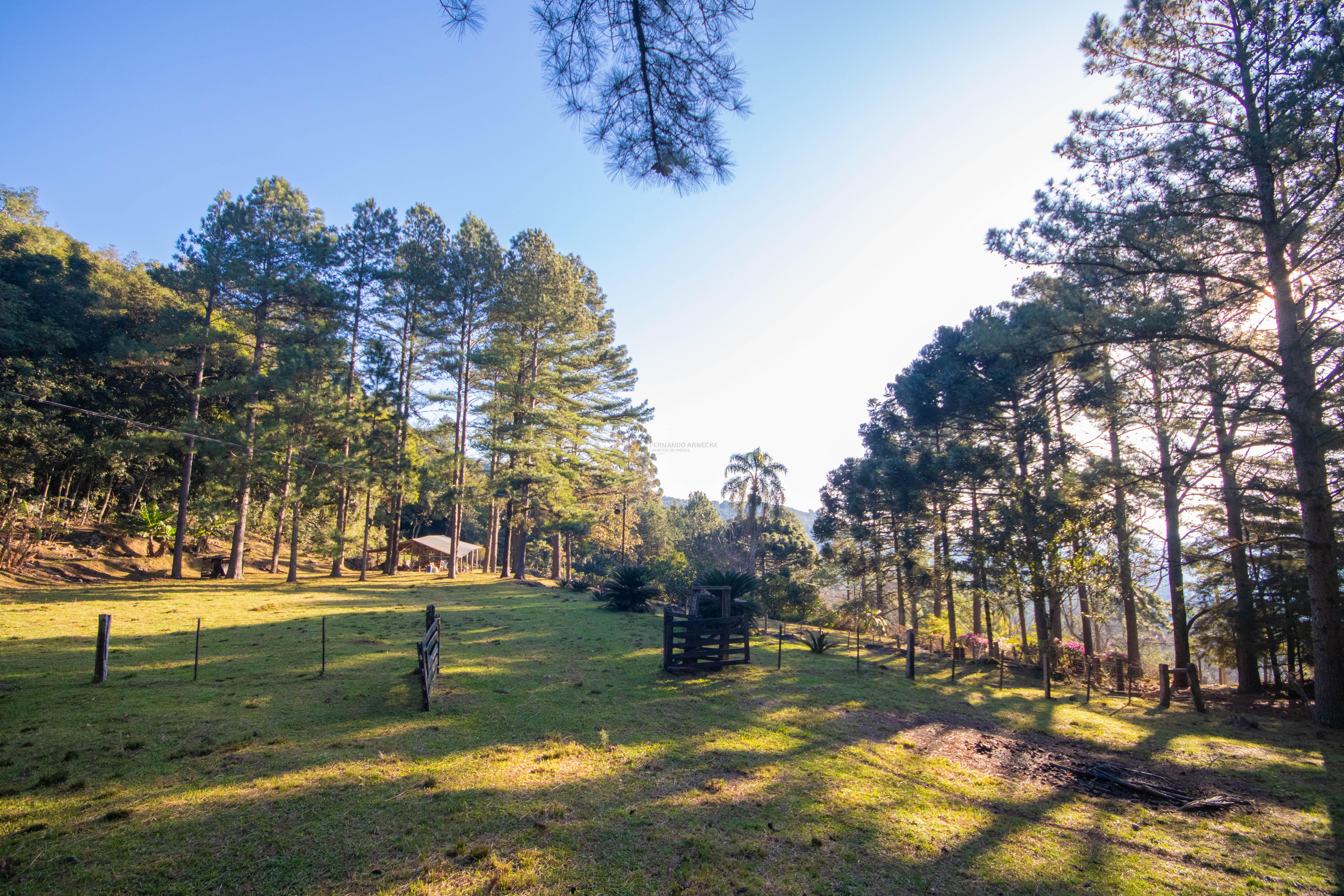 Sítio / Chácara 3 quartos para Venda no bairro Centro em Morro Reuter