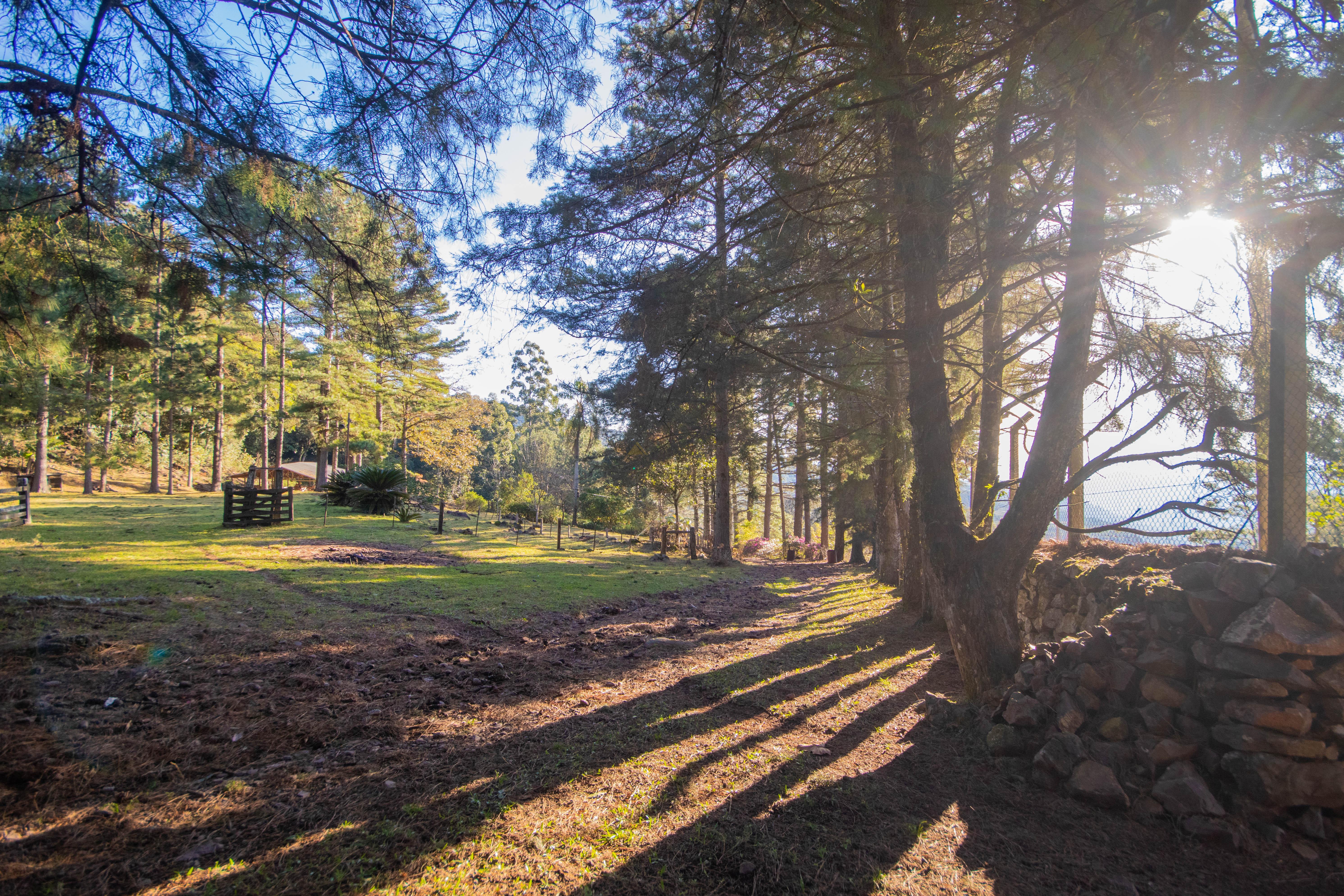 Sítio / Chácara 3 quartos para Venda no bairro Centro em Morro Reuter
