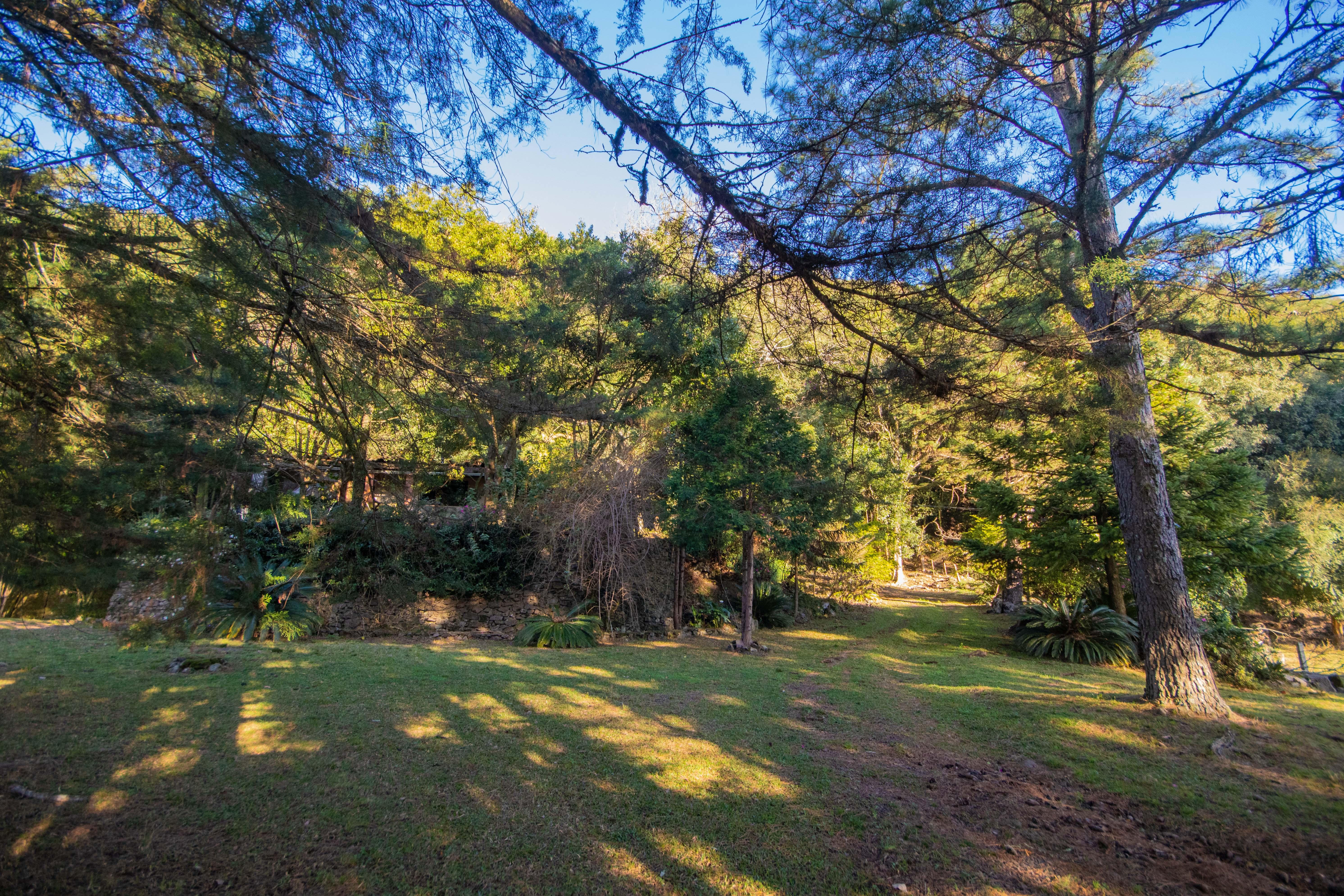 Sítio / Chácara 3 quartos para Venda no bairro Centro em Morro Reuter