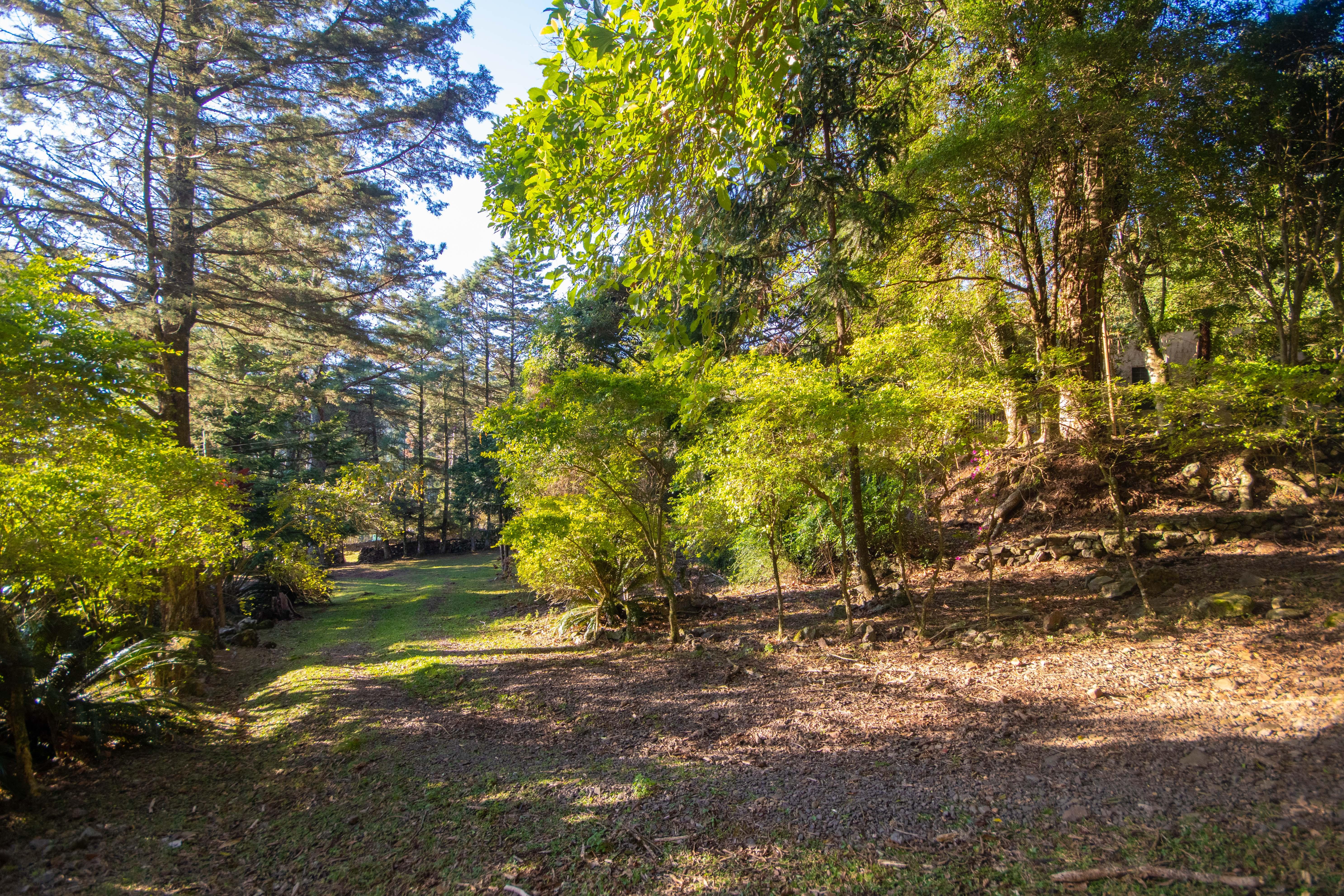 Sítio / Chácara 3 quartos para Venda no bairro Centro em Morro Reuter