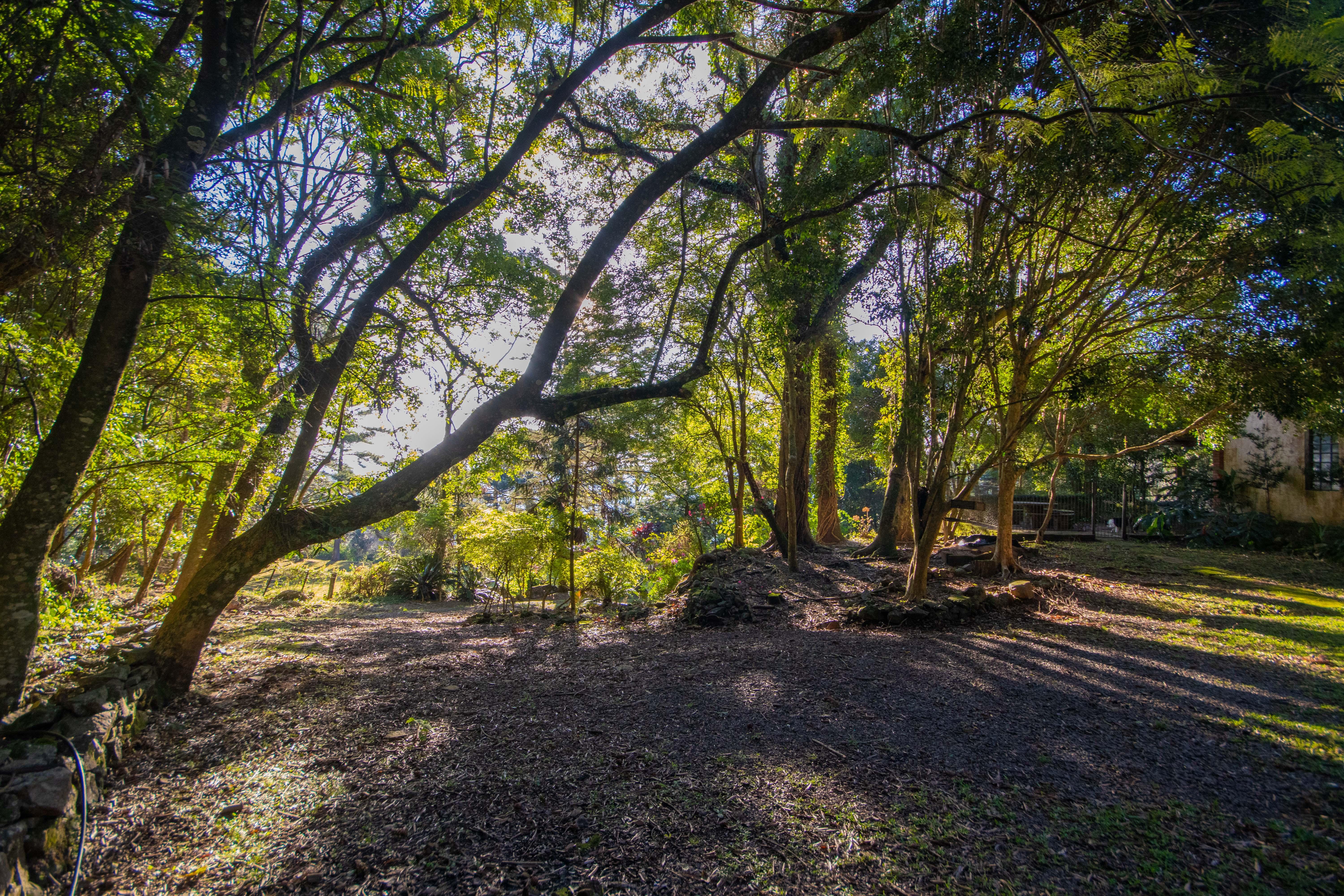 Sítio / Chácara 3 quartos para Venda no bairro Centro em Morro Reuter