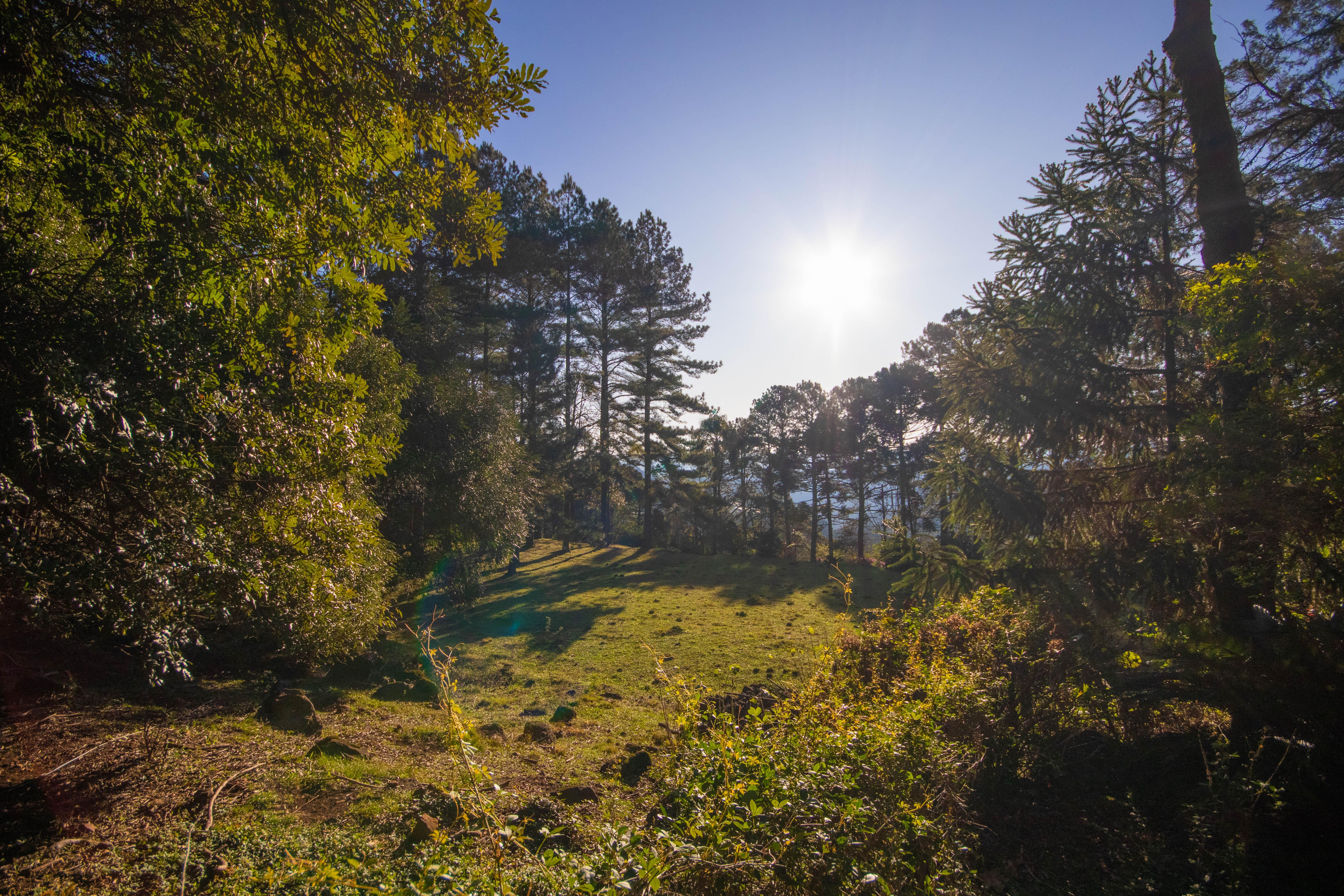 Sítio / Chácara 3 quartos para Venda no bairro Centro em Morro Reuter