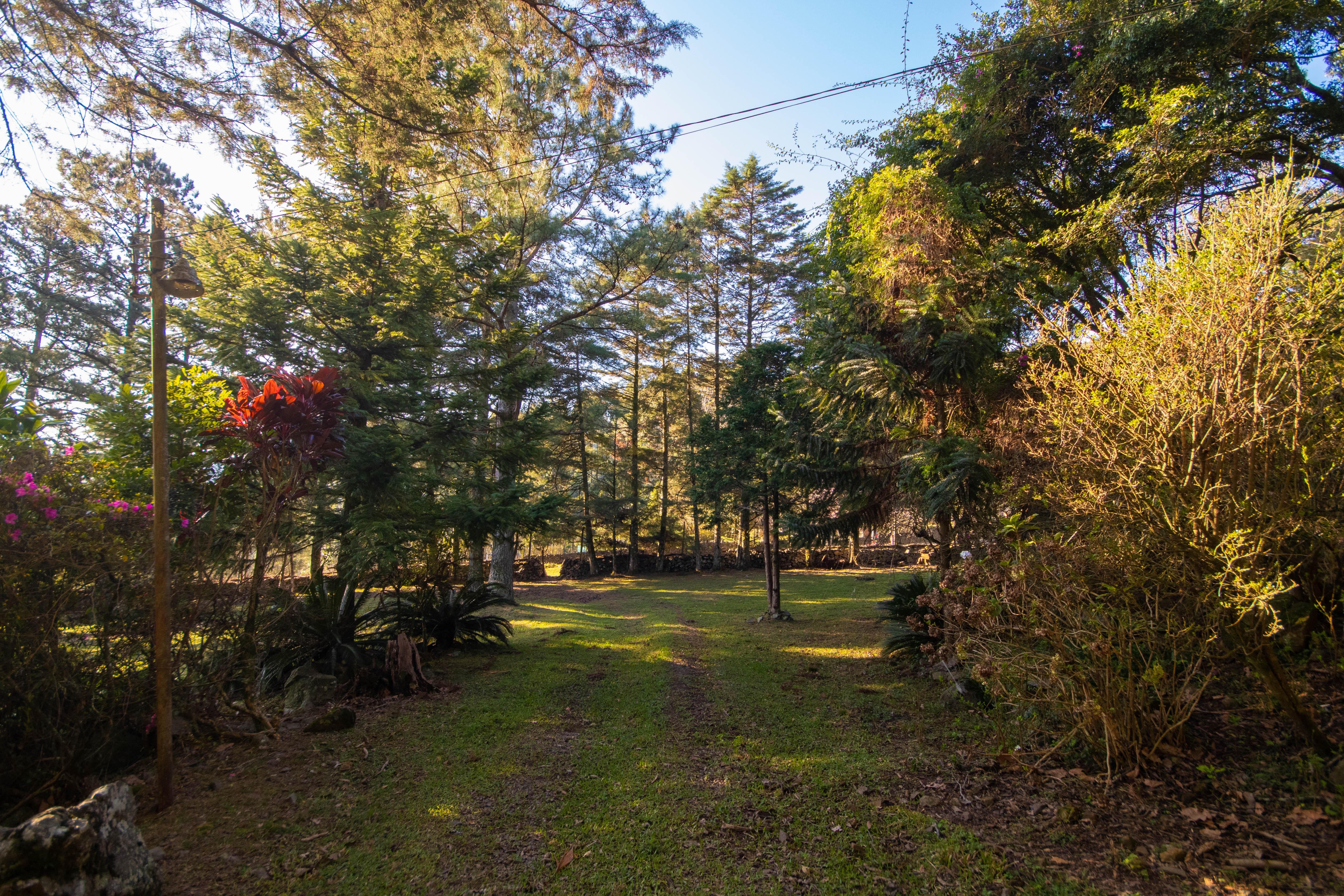 Sítio / Chácara 3 quartos para Venda no bairro Centro em Morro Reuter