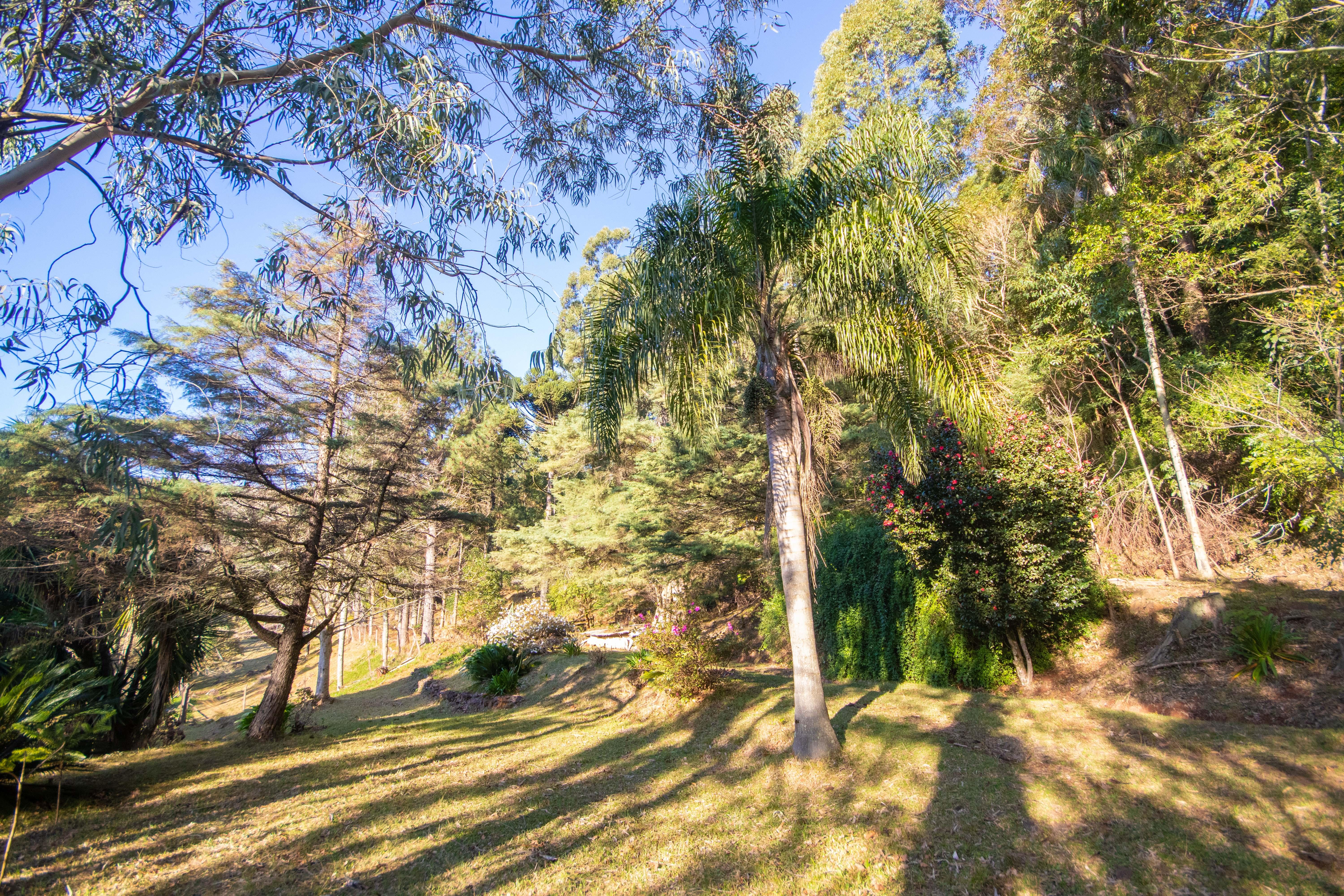 Sítio / Chácara 3 quartos para Venda no bairro Centro em Morro Reuter