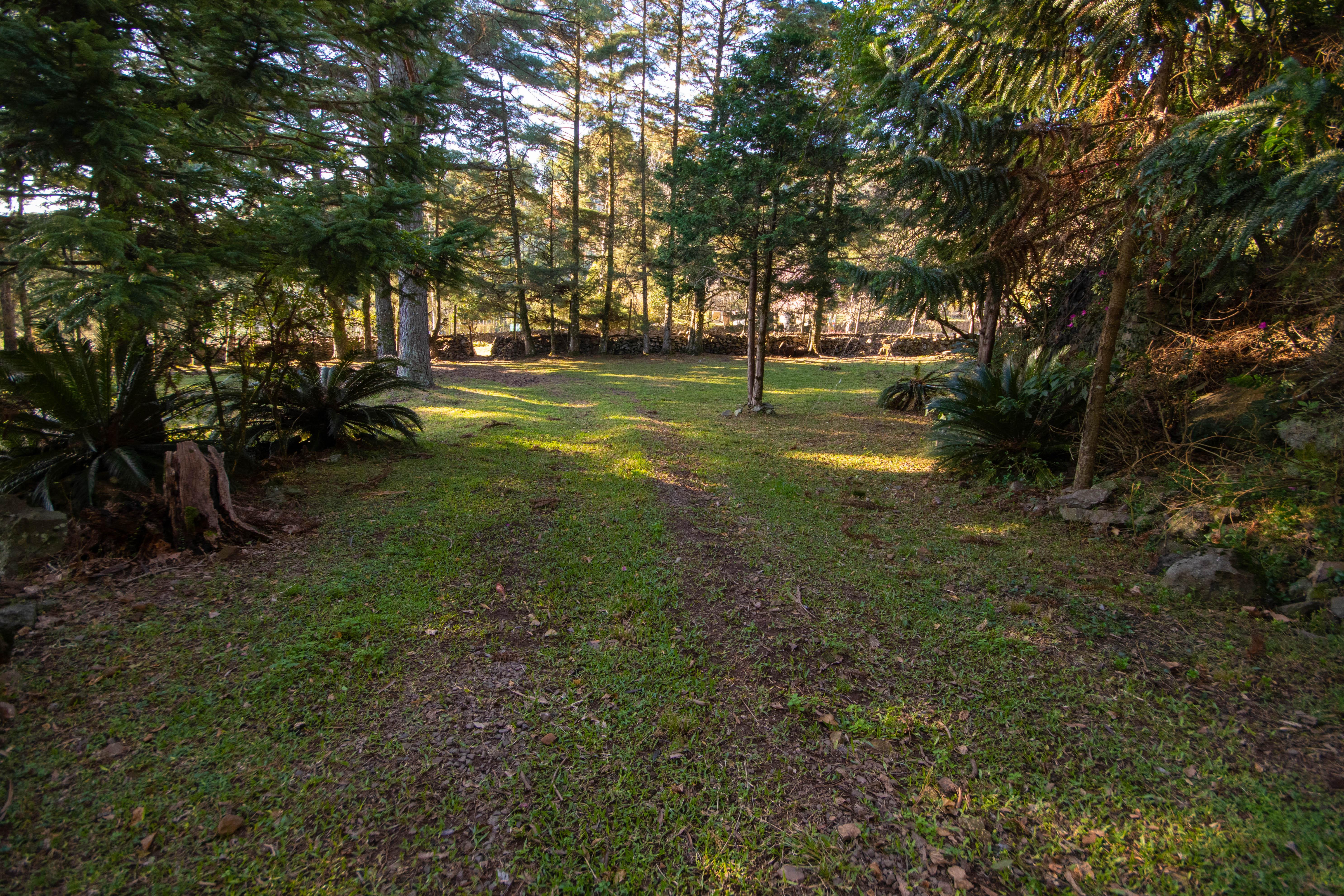 Sítio / Chácara 3 quartos para Venda no bairro Centro em Morro Reuter