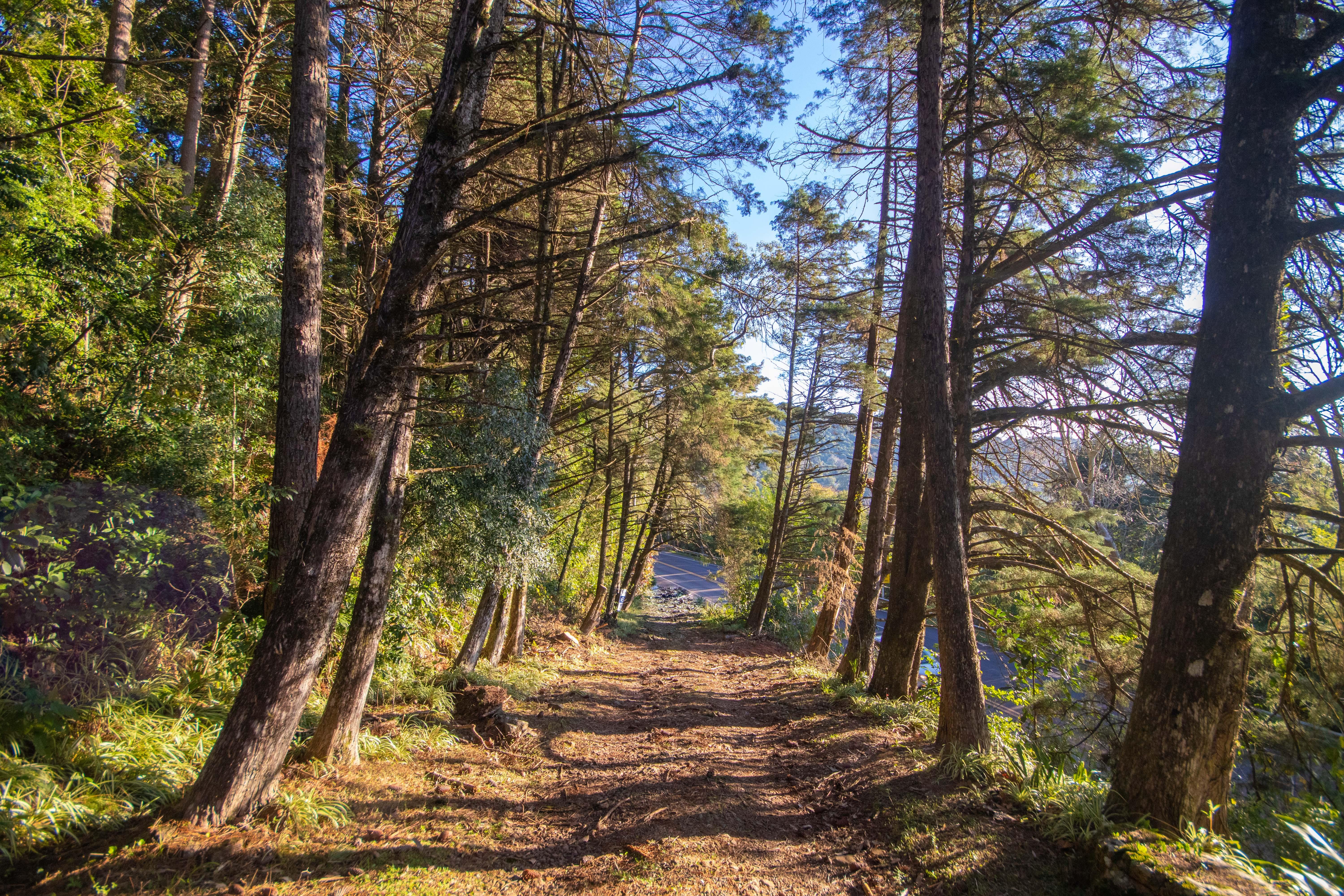 Sítio / Chácara 3 quartos para Venda no bairro Centro em Morro Reuter