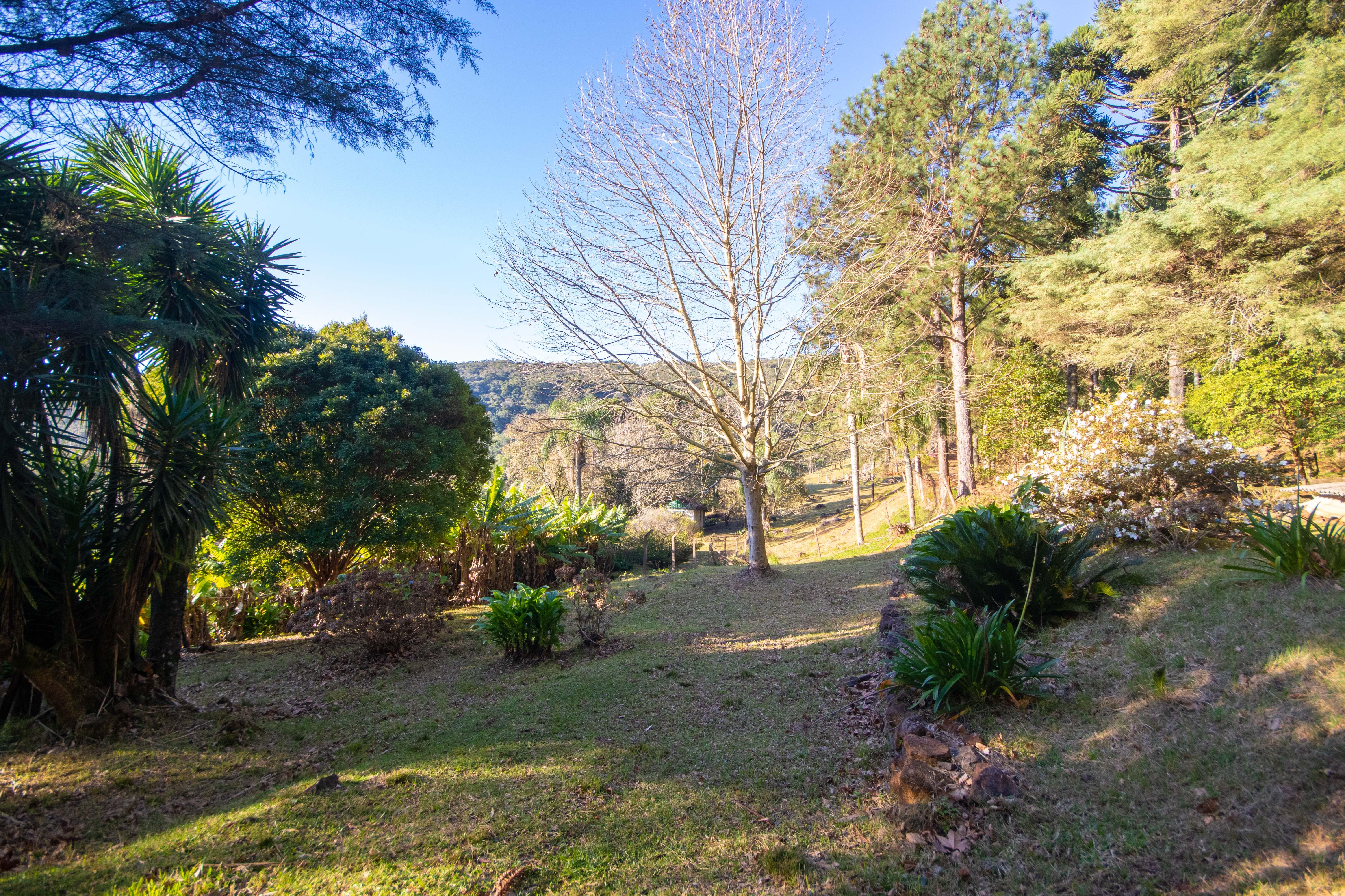 Sítio / Chácara 3 quartos para Venda no bairro Centro em Morro Reuter