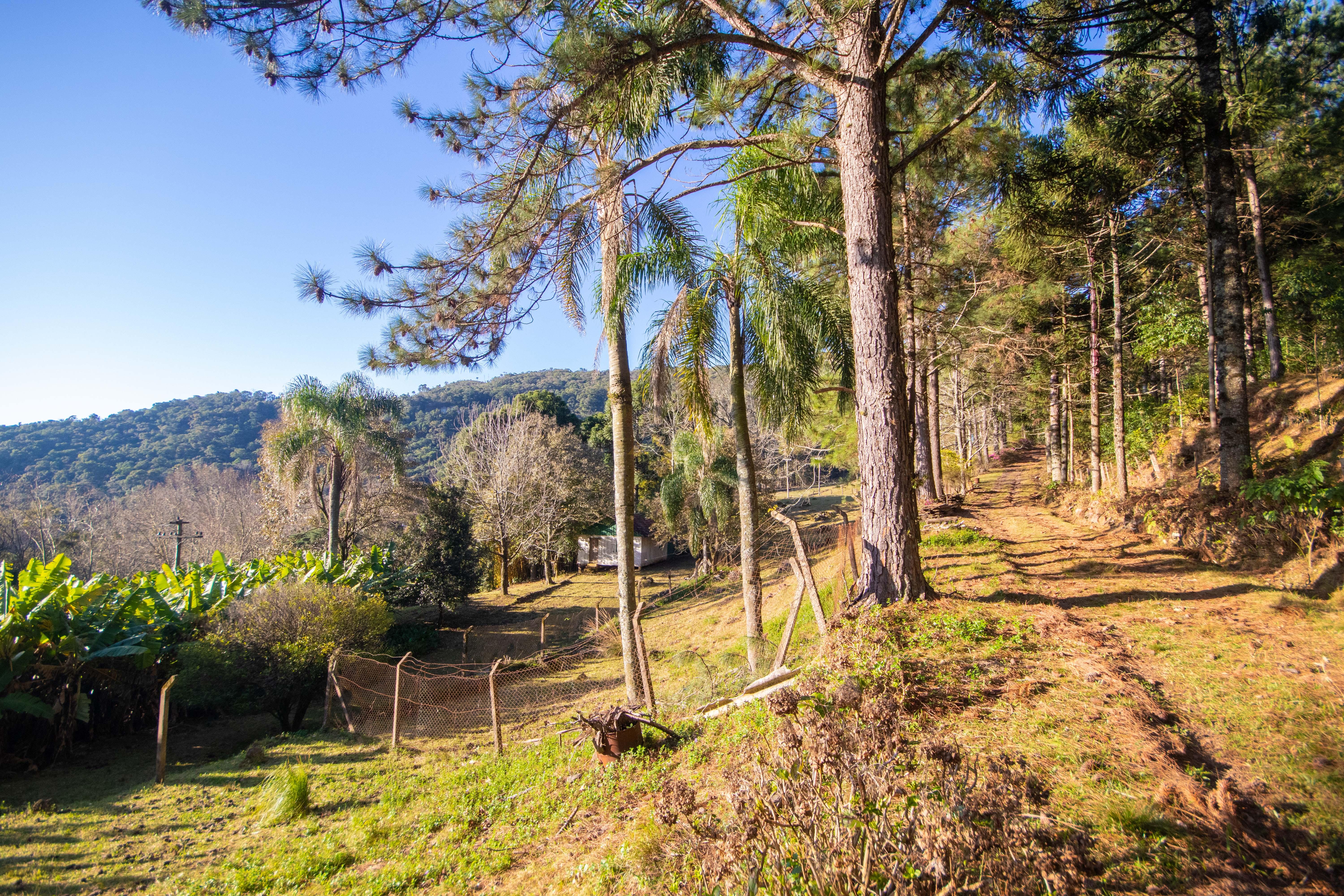 Sítio / Chácara 3 quartos para Venda no bairro Centro em Morro Reuter