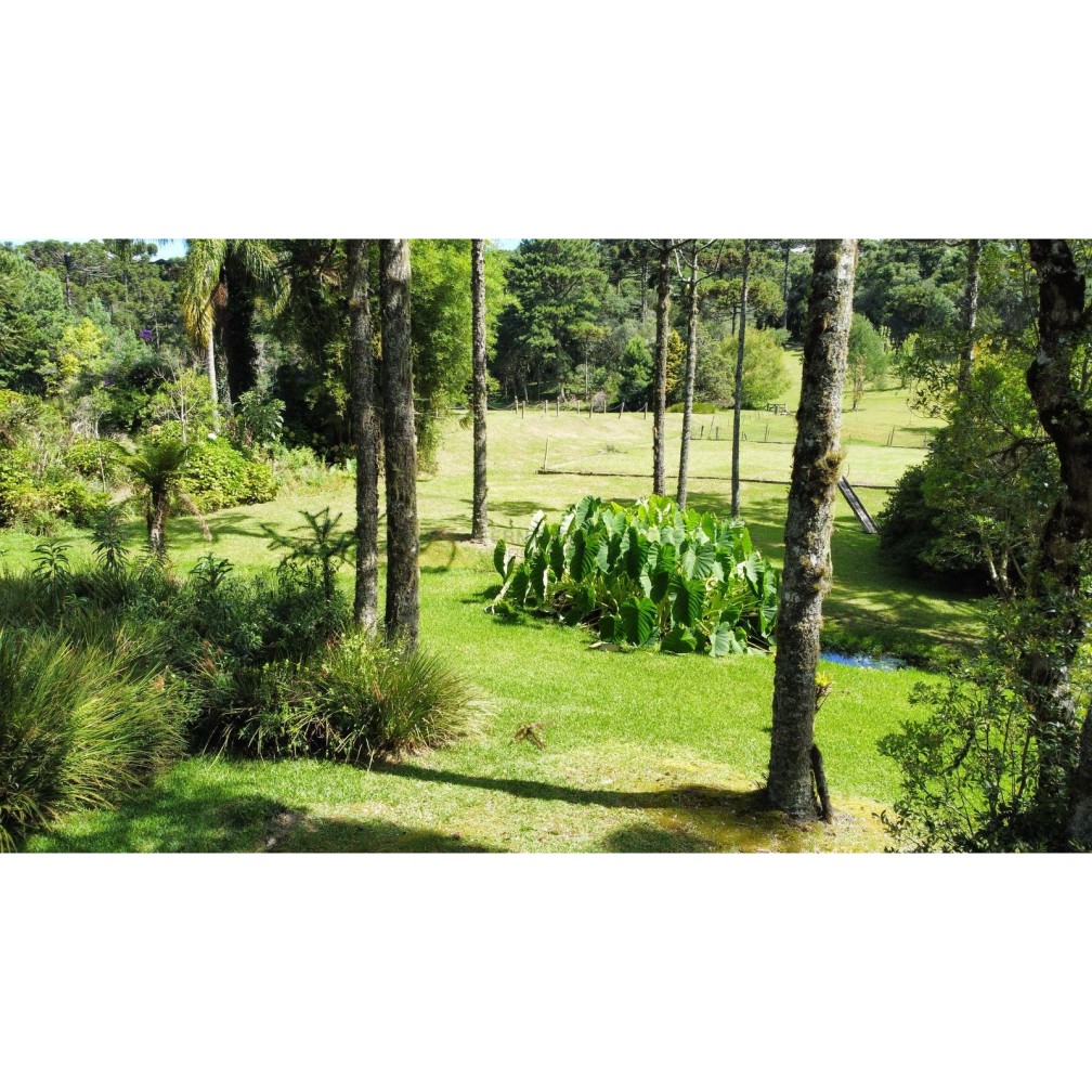 Sítio / Chácara para Venda no bairro Zona Rural em Canela