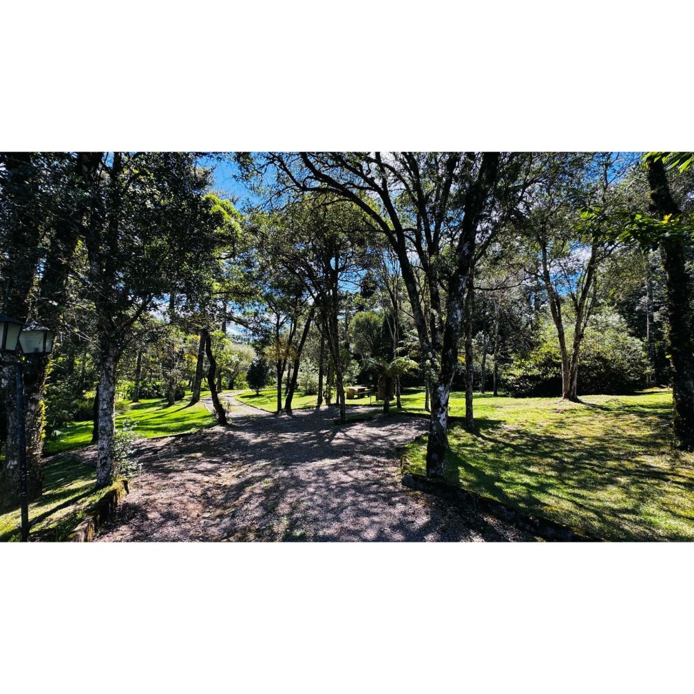 Sítio / Chácara para Venda no bairro Zona Rural em Canela