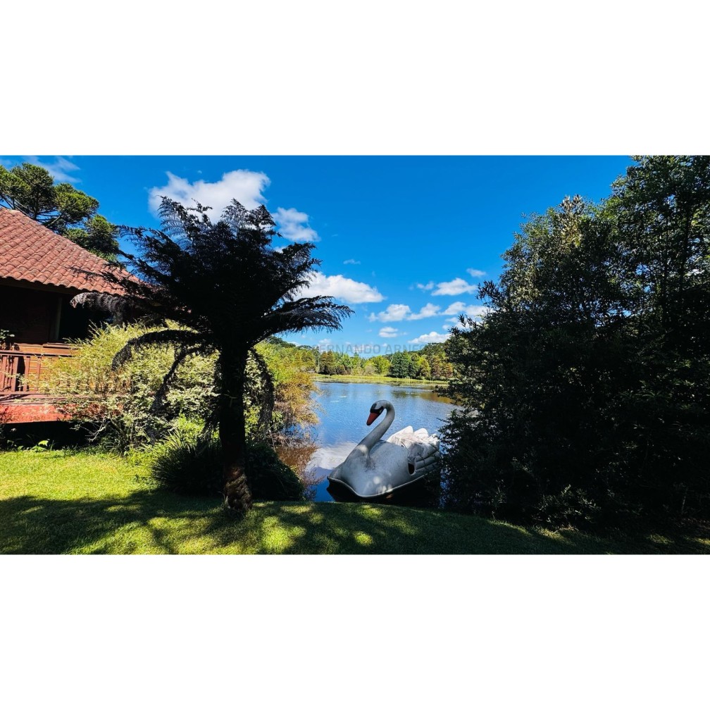 Sítio / Chácara para Venda no bairro Zona Rural em Canela