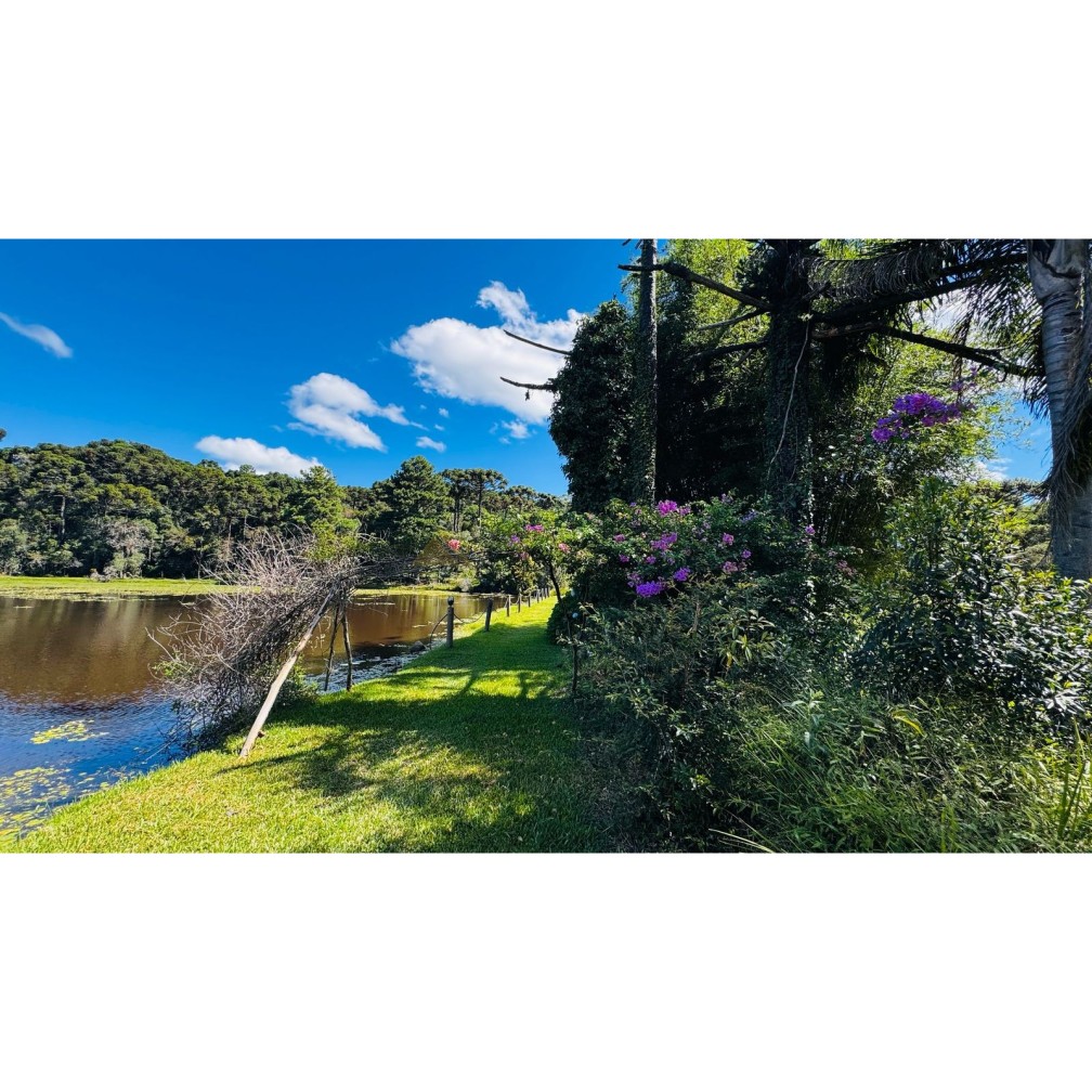 Sítio / Chácara para Venda no bairro Zona Rural em Canela