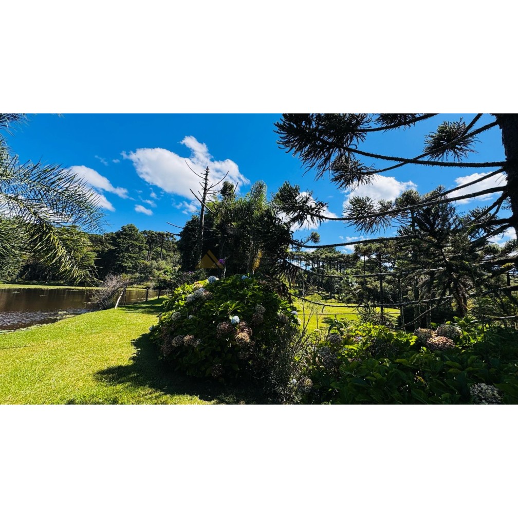 Sítio / Chácara para Venda no bairro Zona Rural em Canela