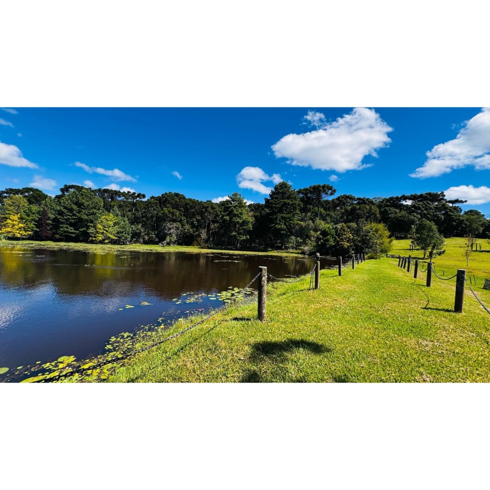 Sítio / Chácara para Venda no bairro Zona Rural em Canela