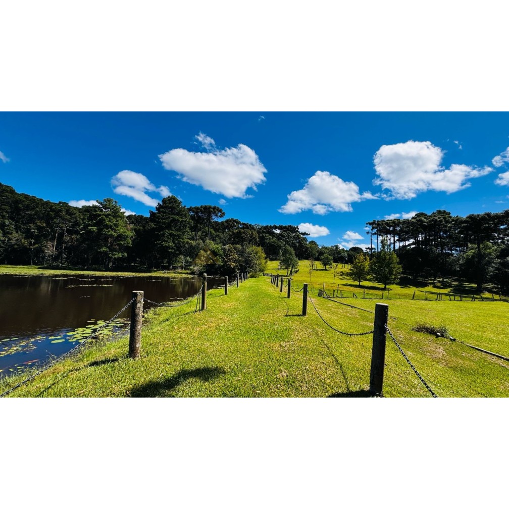 Sítio / Chácara para Venda no bairro Zona Rural em Canela