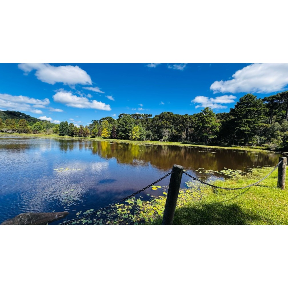 Sítio / Chácara para Venda no bairro Zona Rural em Canela