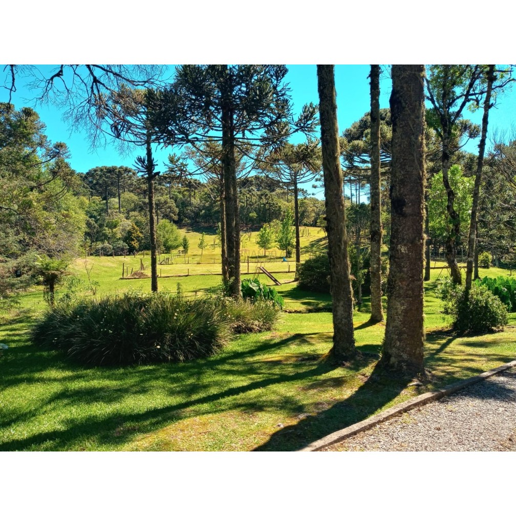 Sítio / Chácara para Venda no bairro Zona Rural em Canela