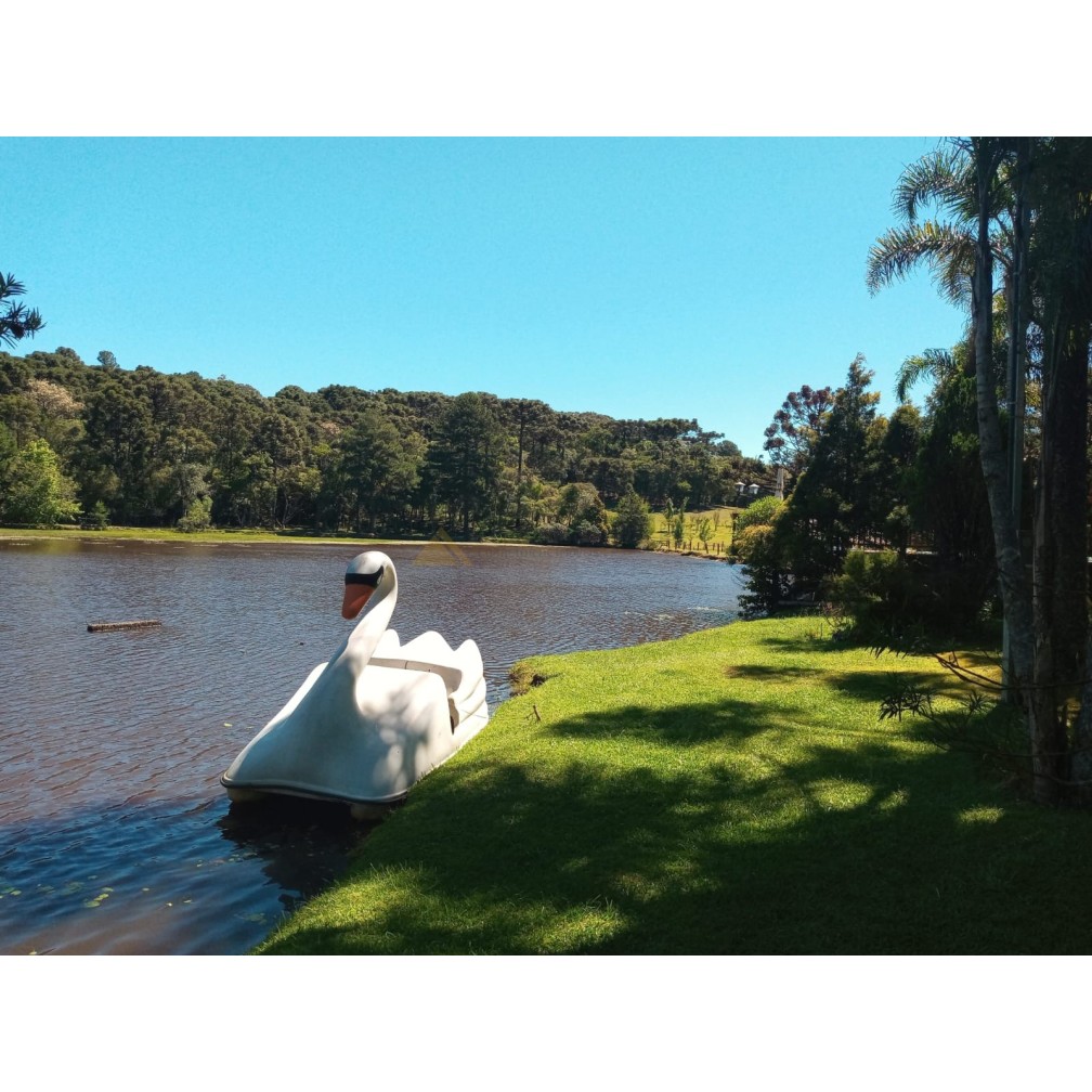 Sítio / Chácara para Venda no bairro Zona Rural em Canela