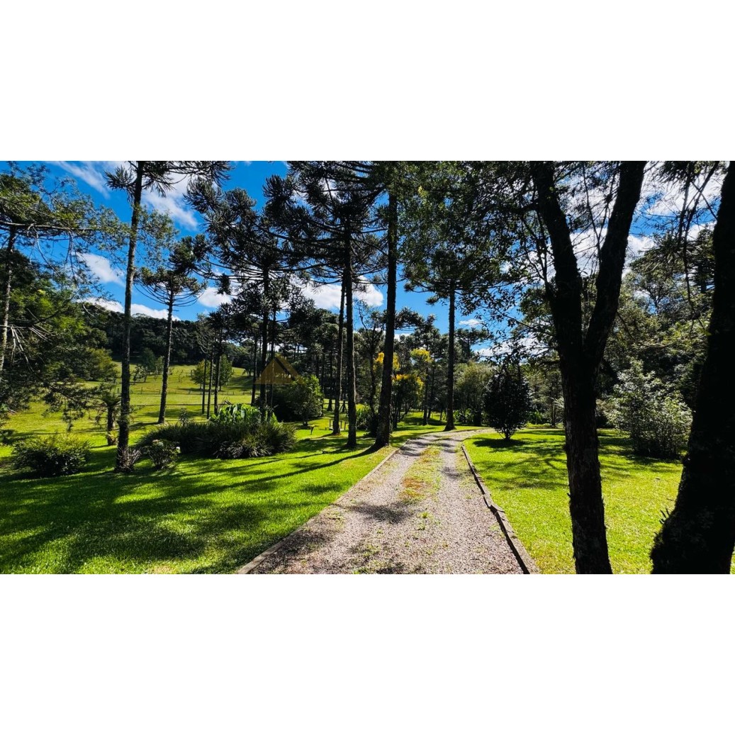 Sítio / Chácara para Venda no bairro Zona Rural em Canela