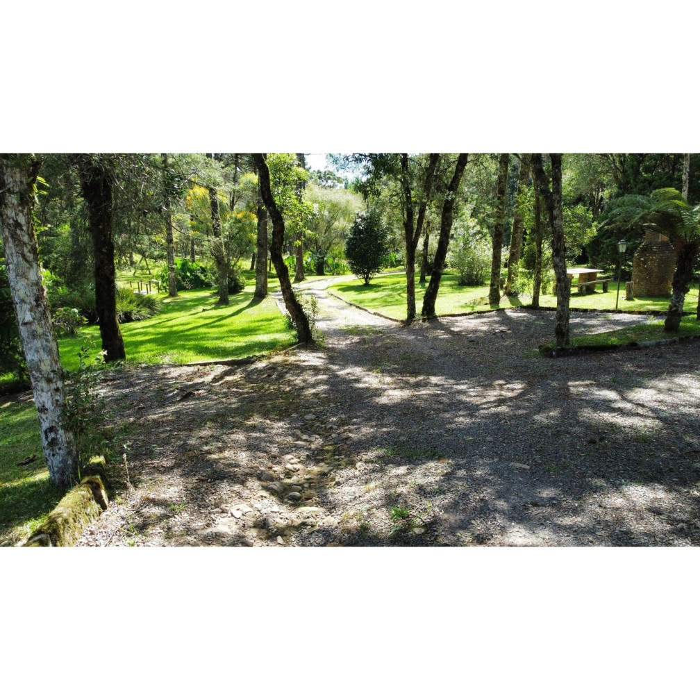 Sítio / Chácara para Venda no bairro Zona Rural em Canela