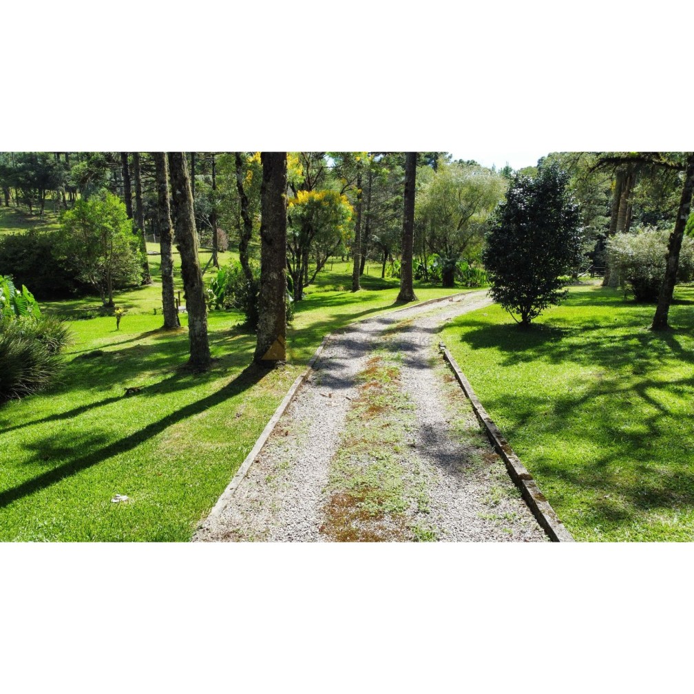 Sítio / Chácara para Venda no bairro Zona Rural em Canela