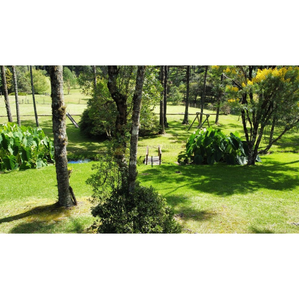 Sítio / Chácara para Venda no bairro Zona Rural em Canela