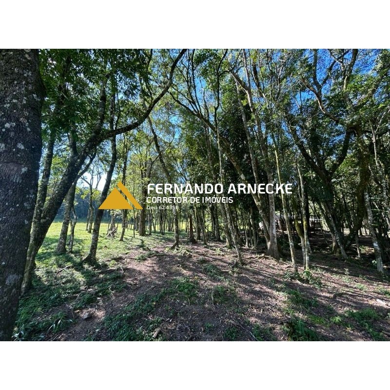 Sítio / Chácara 4 quartos para Venda no bairro Zona Rural em Santa Maria do Herval