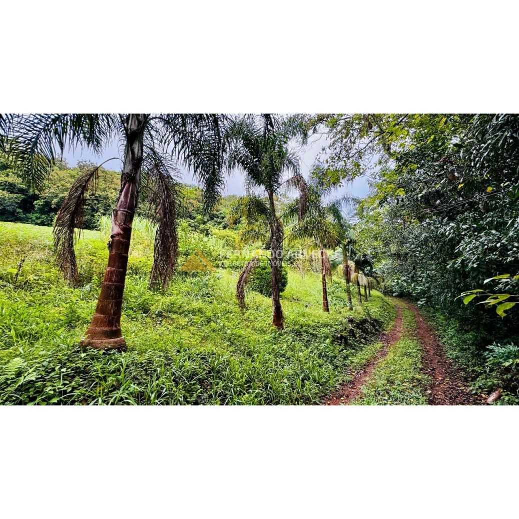Sítio / Chácara para Venda no bairro Serra Grande em Igrejinha