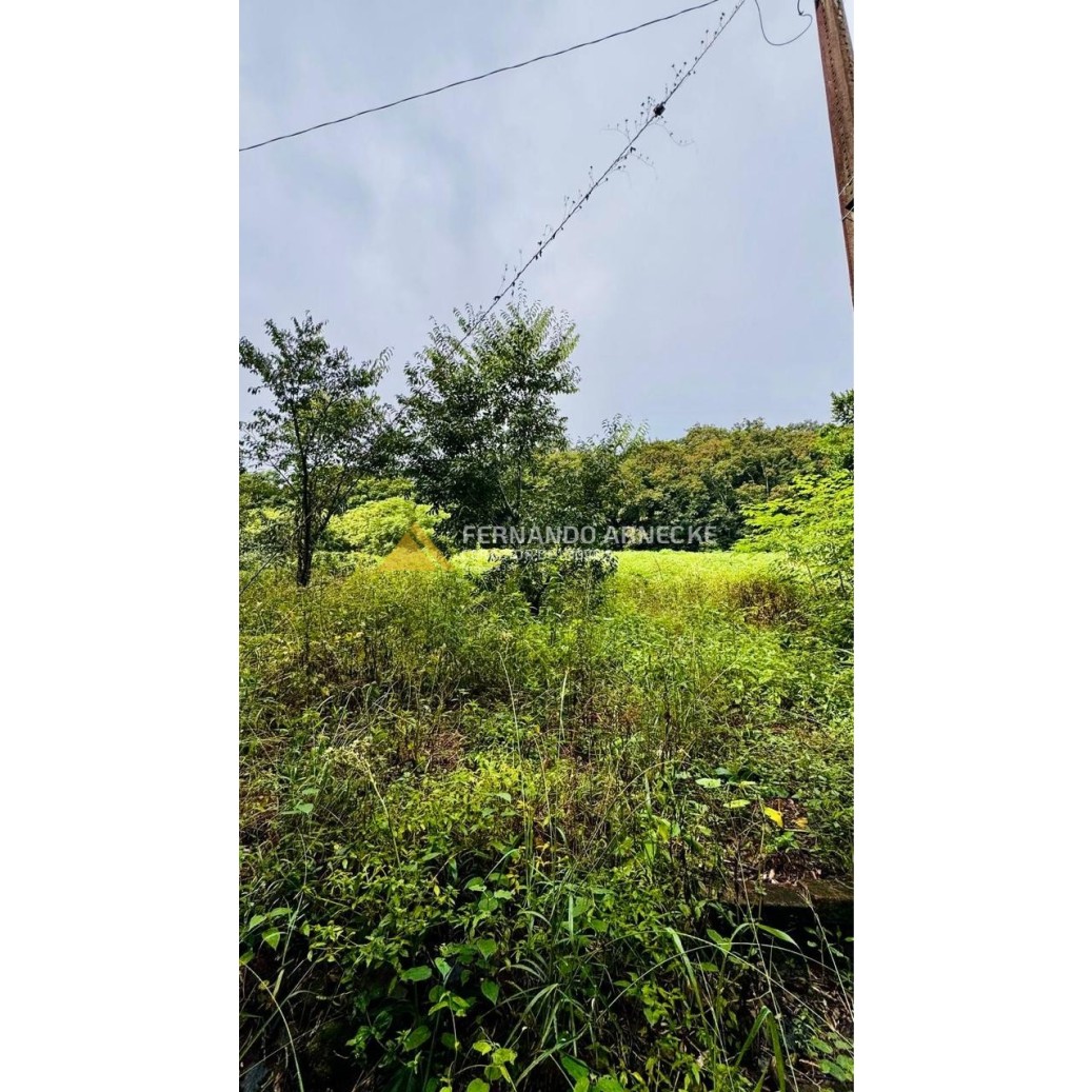 Sítio / Chácara para Venda no bairro Serra Grande em Igrejinha