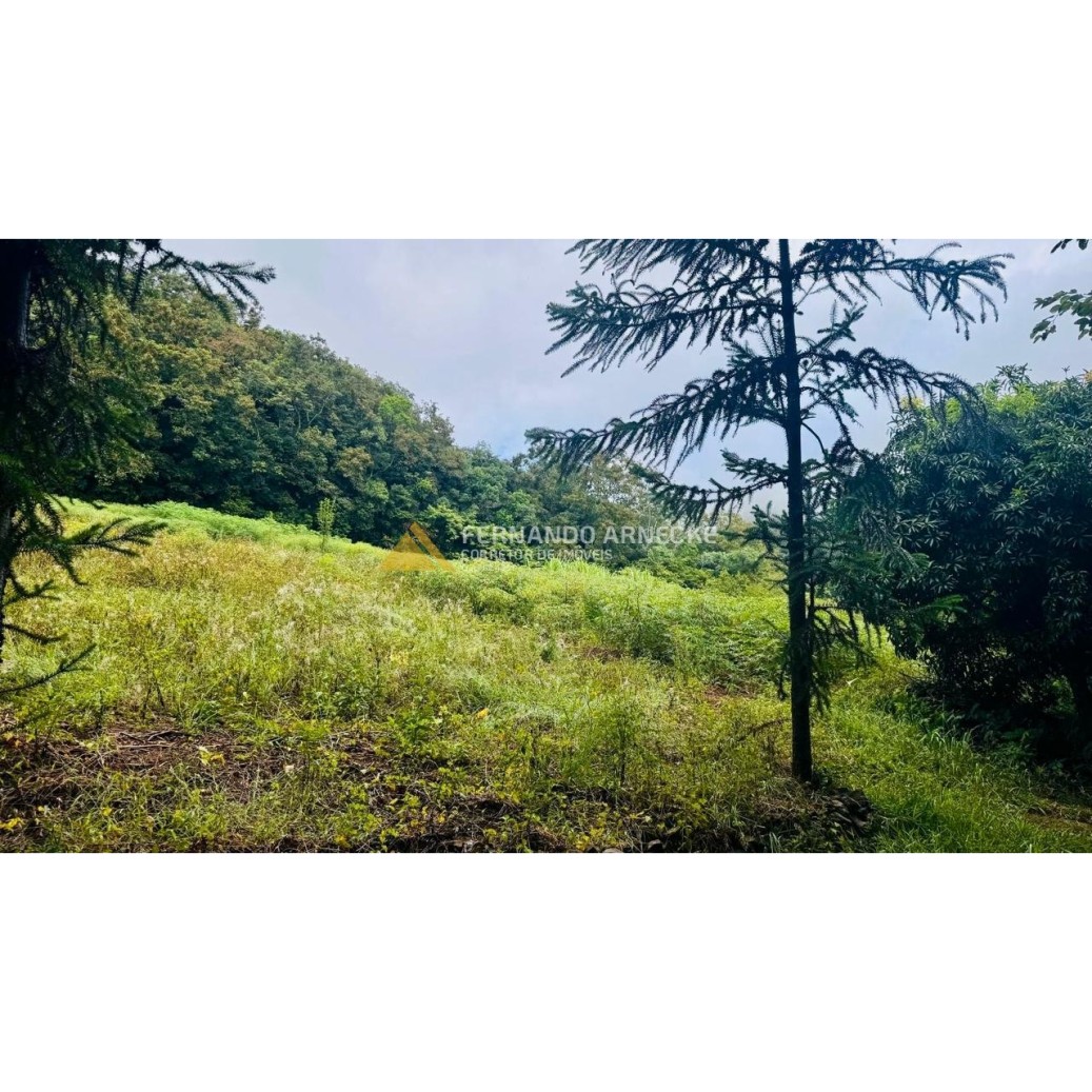 Sítio / Chácara para Venda no bairro Serra Grande em Igrejinha