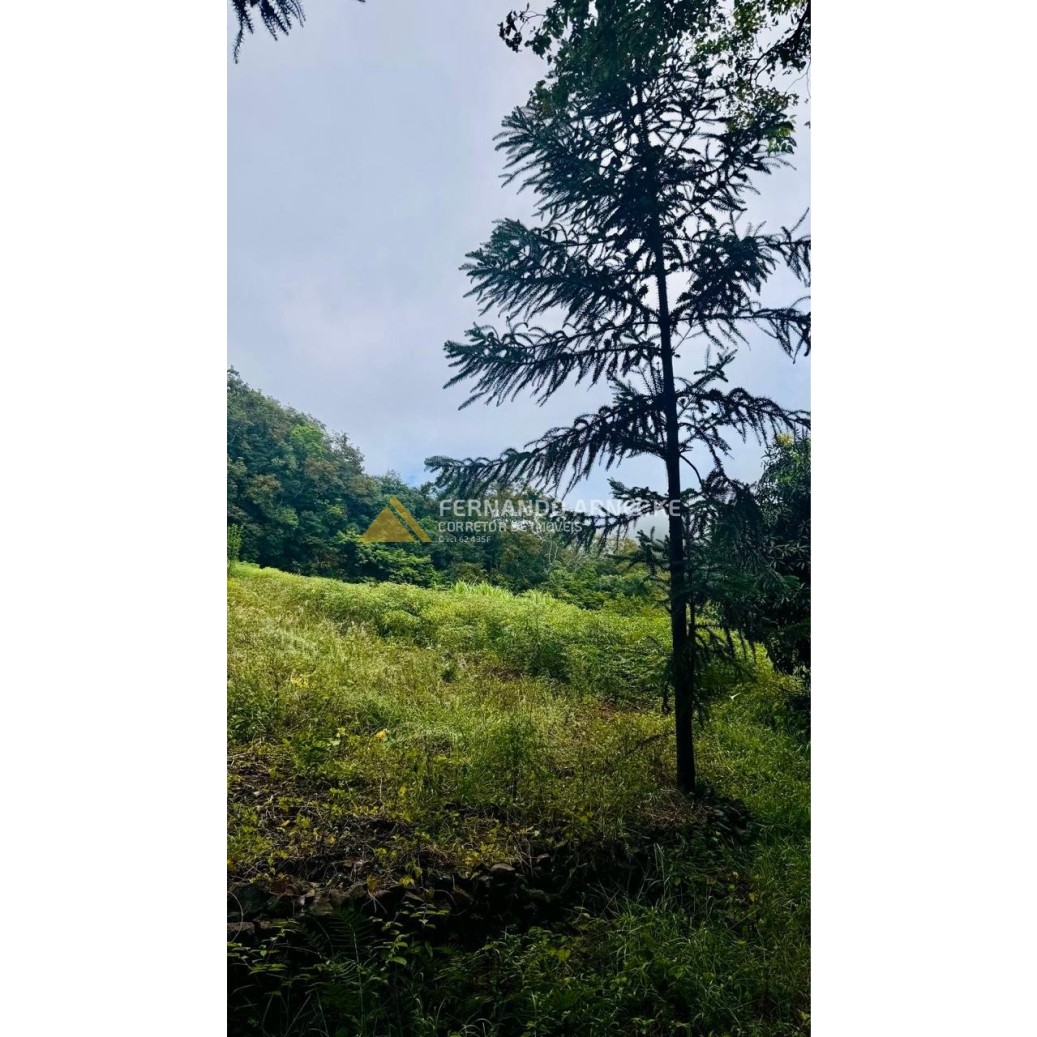 Sítio / Chácara para Venda no bairro Serra Grande em Igrejinha